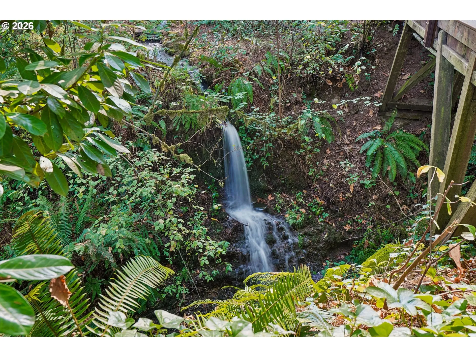 Water Feature-# 2