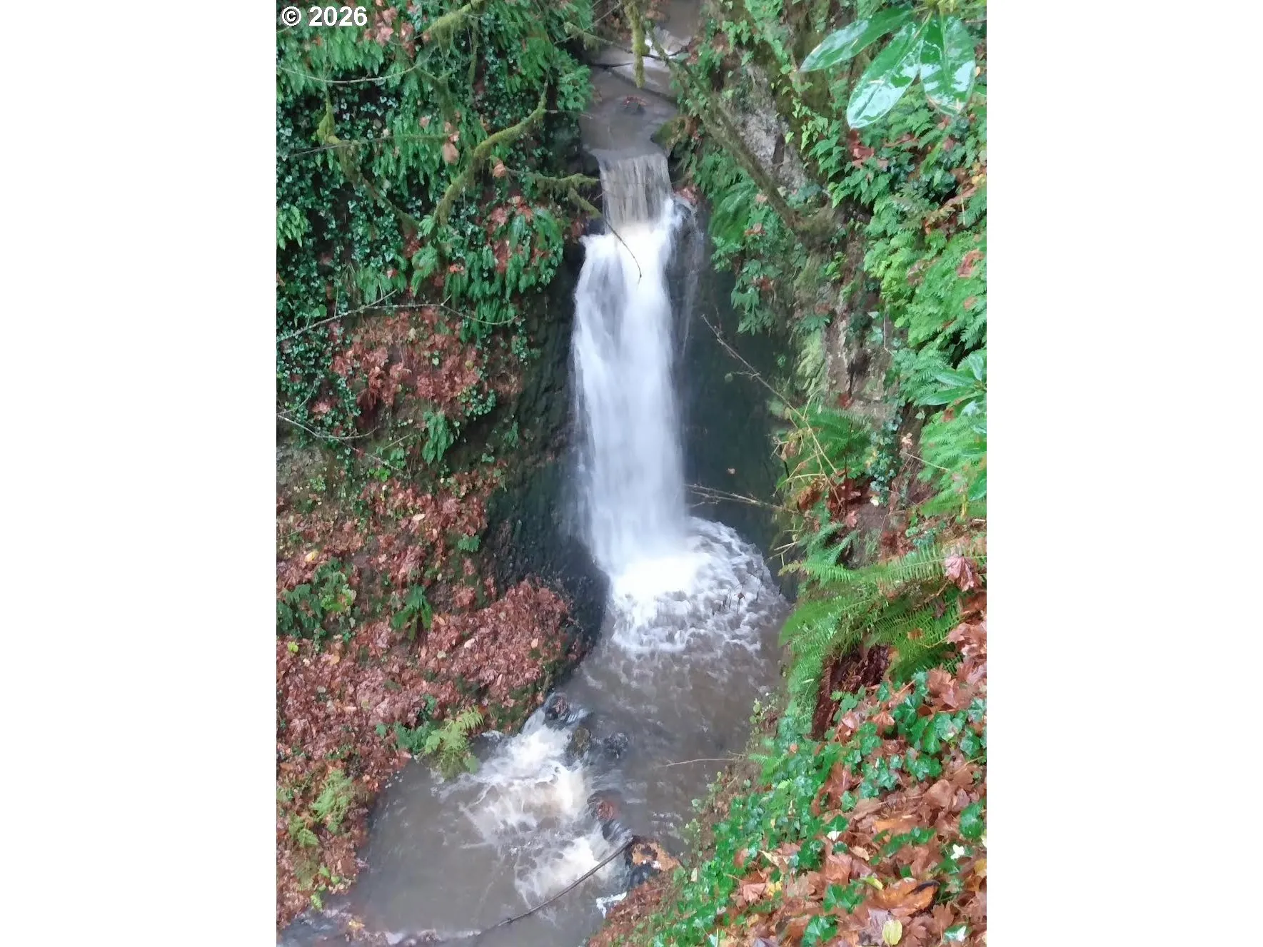 Water Feature-# 1
