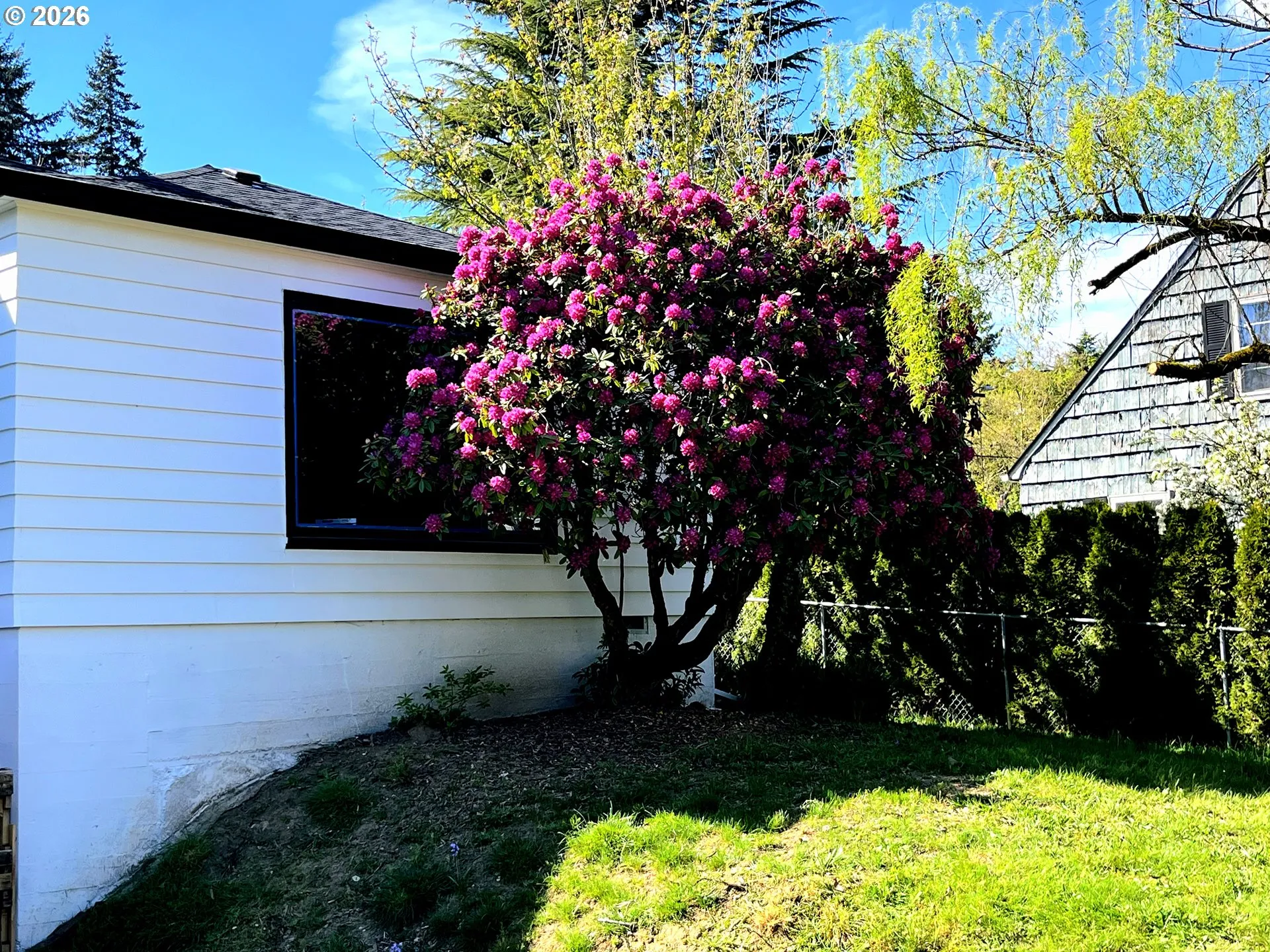 Front Yard