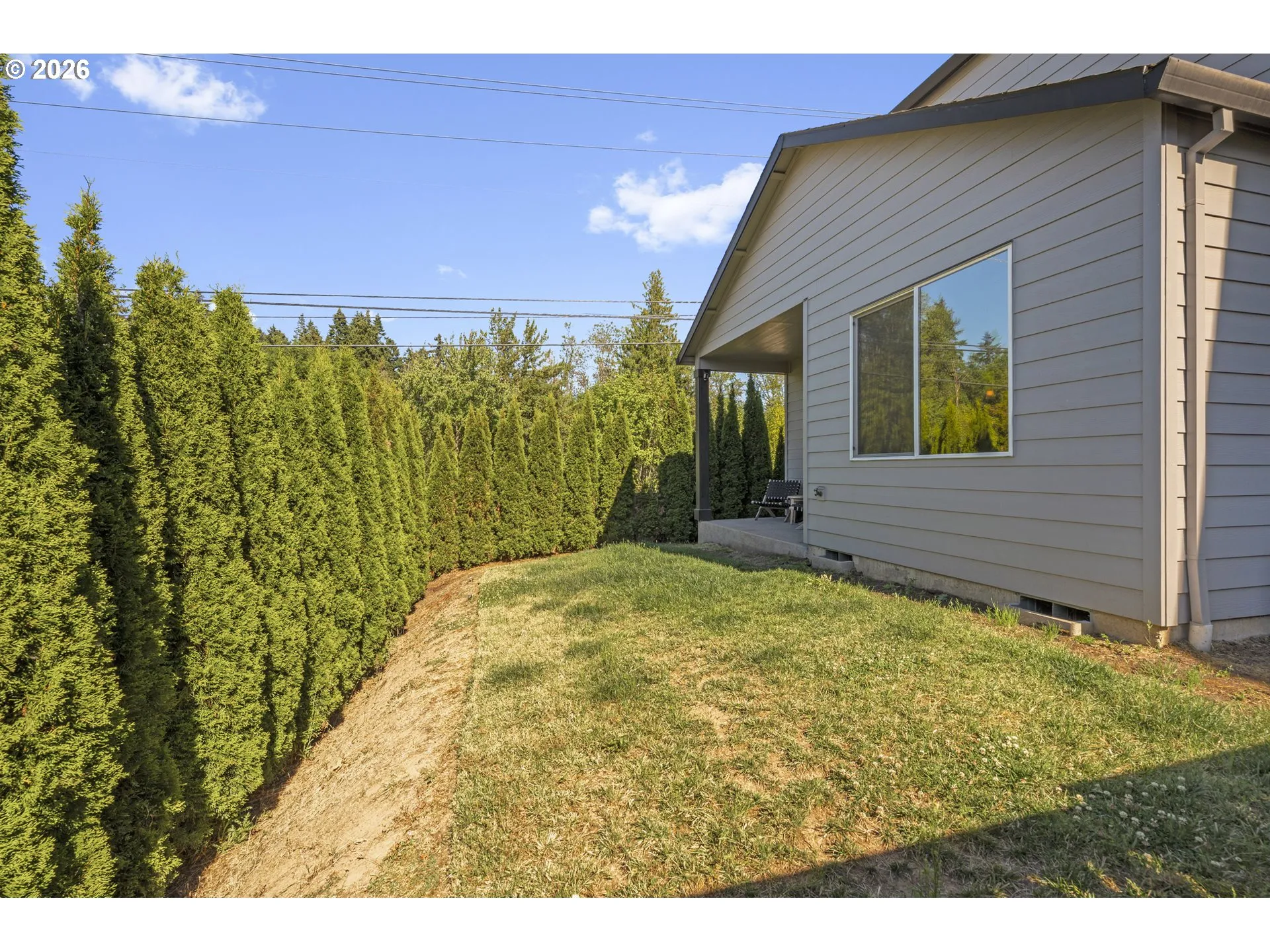 Backyard