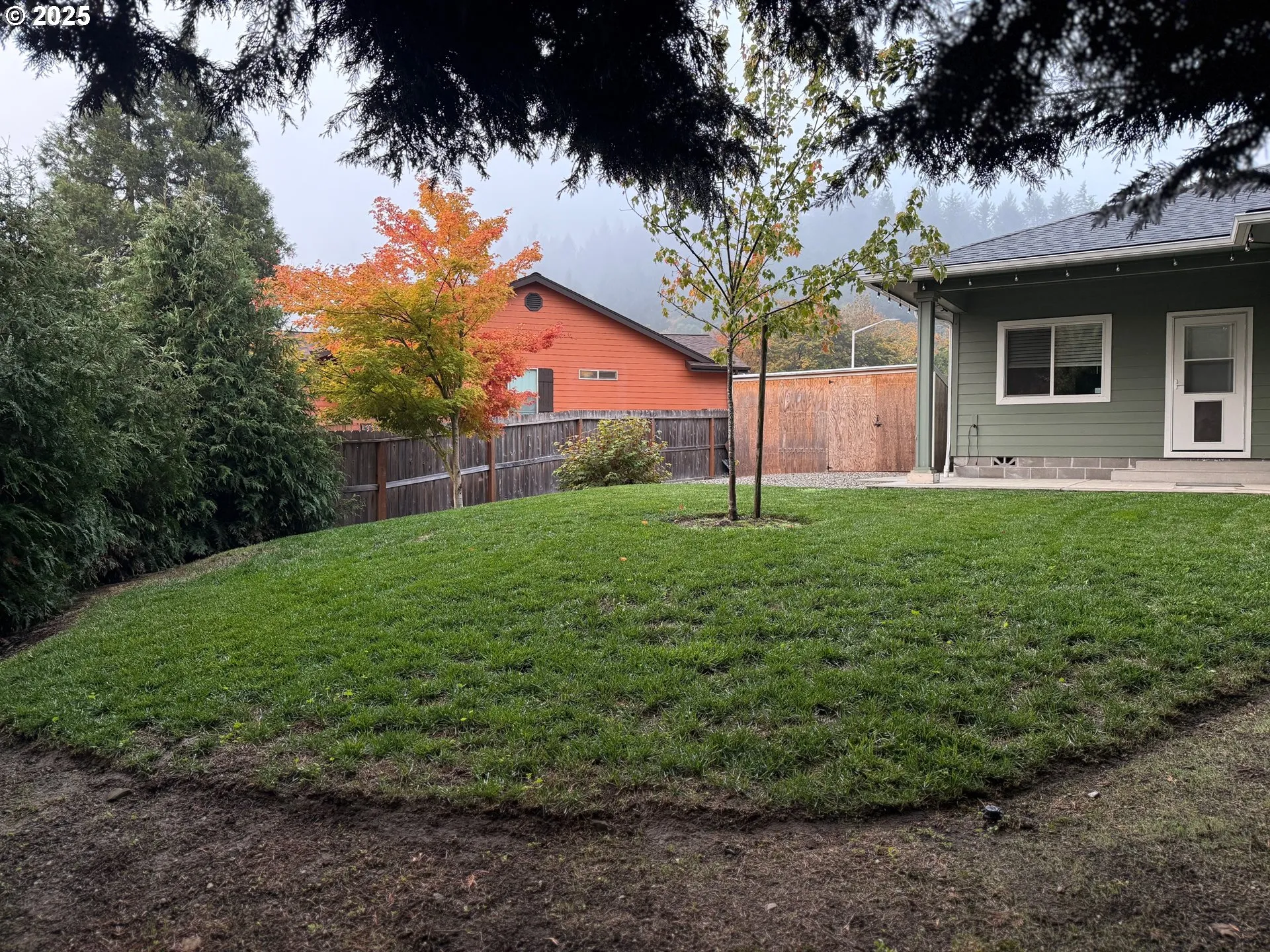 Backyard