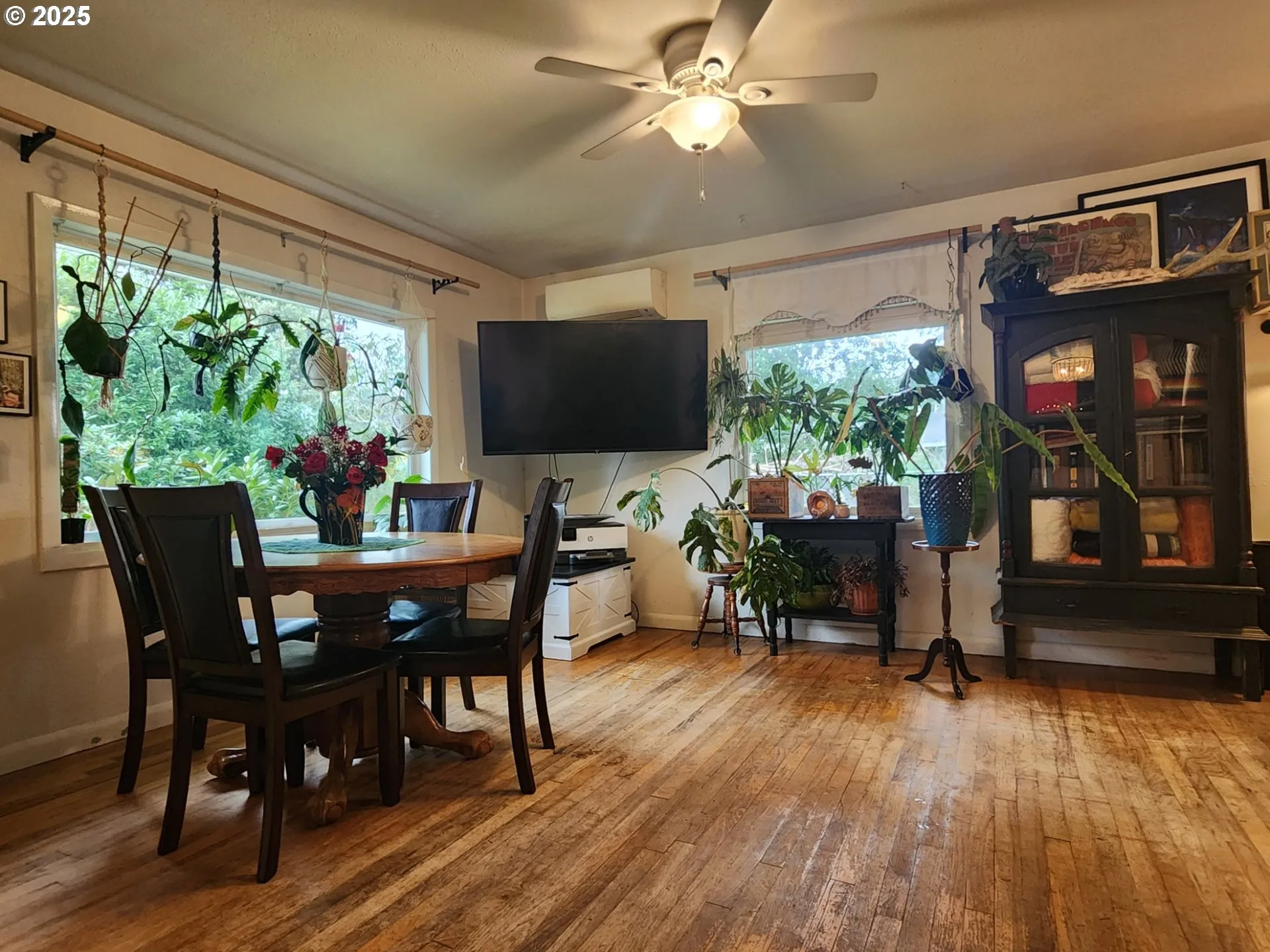 Dining Area-Ceiling Fan