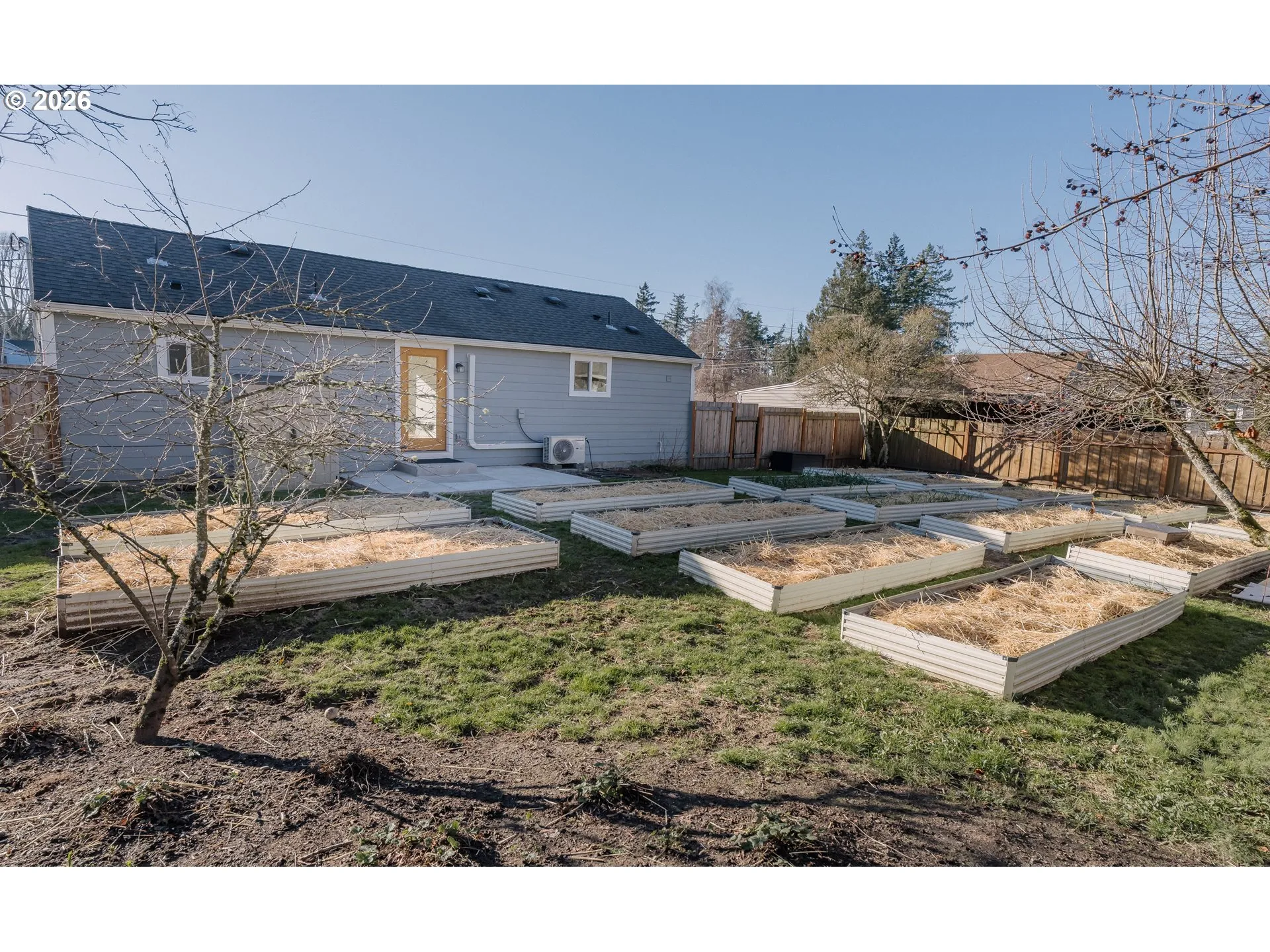 Backyard-View From
