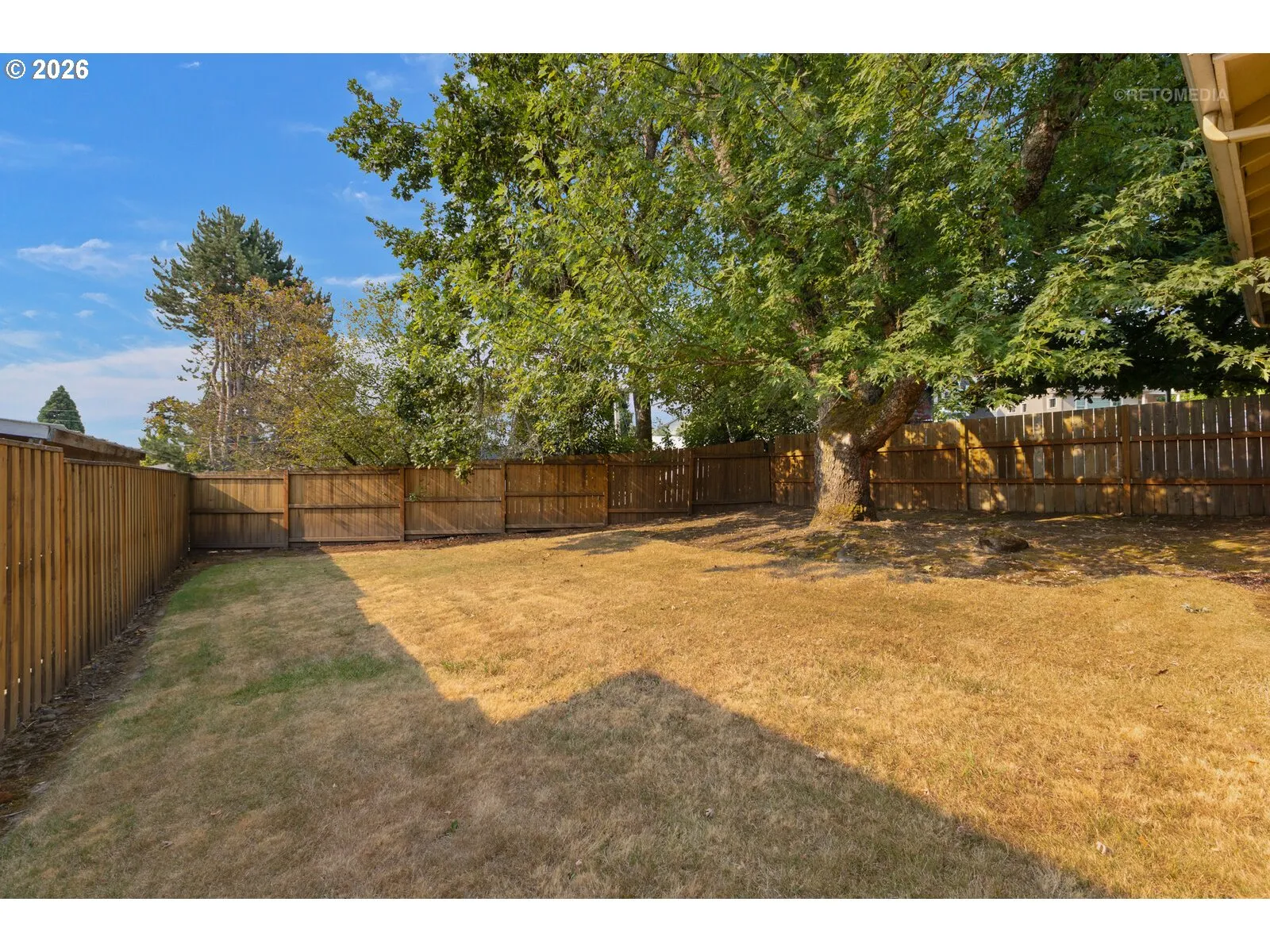 Backyard