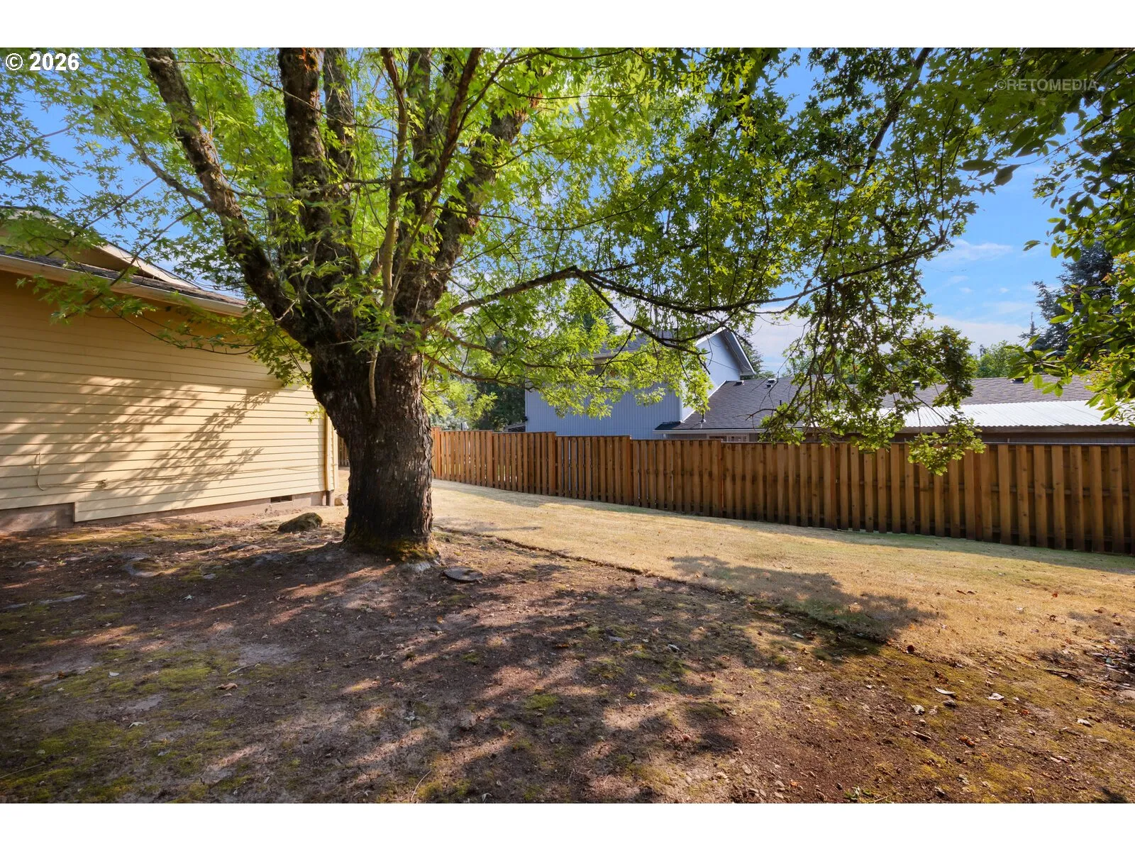 Backyard