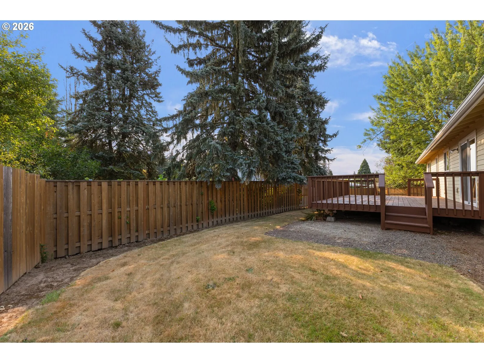 Backyard