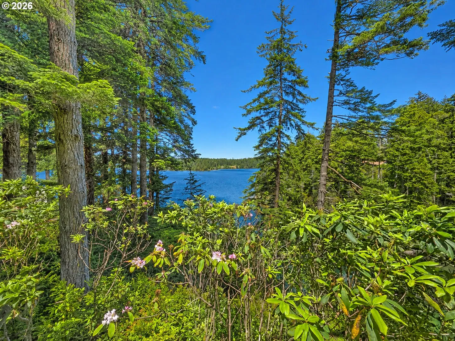 View-Lake