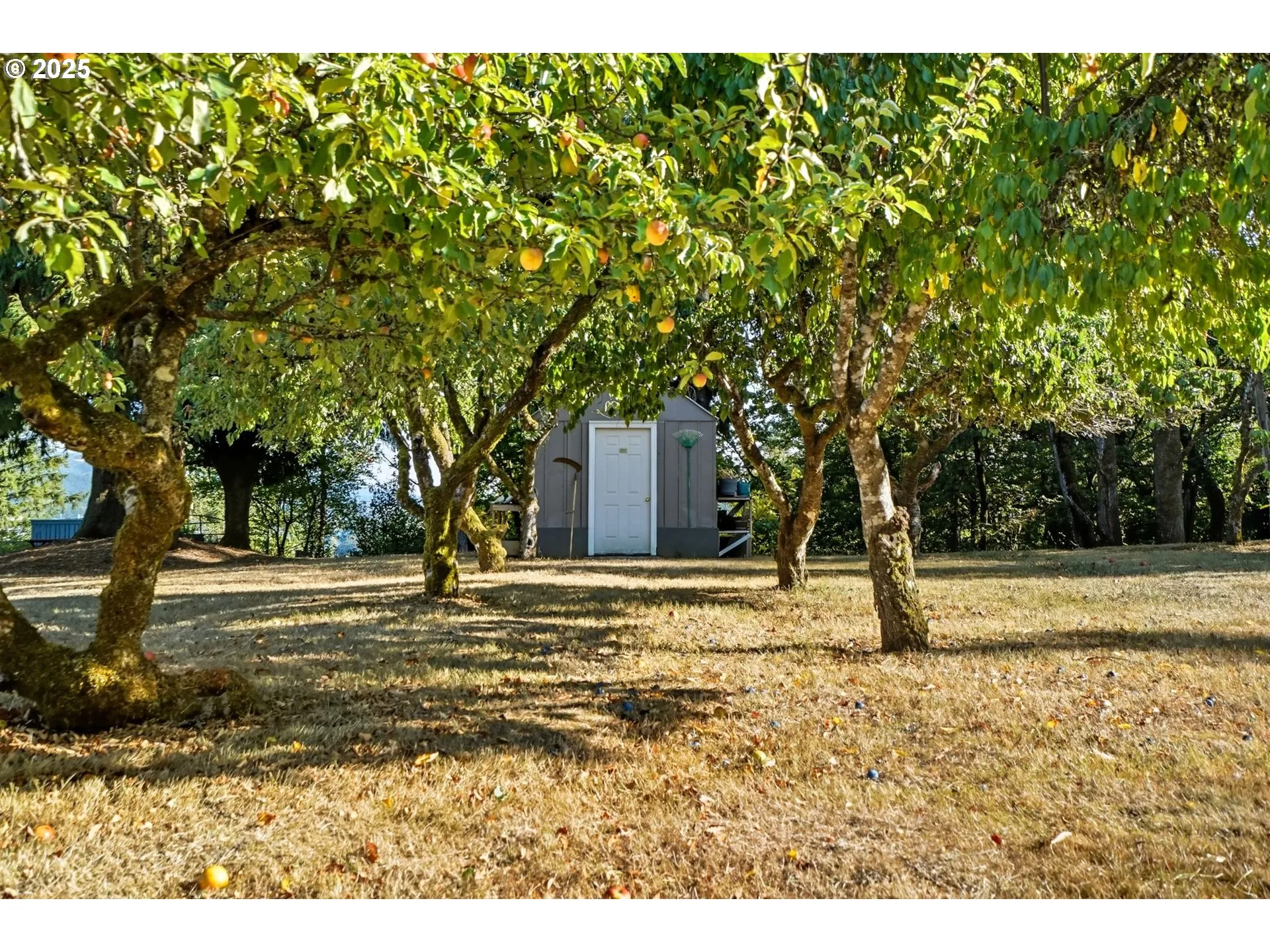 Yard-Trees