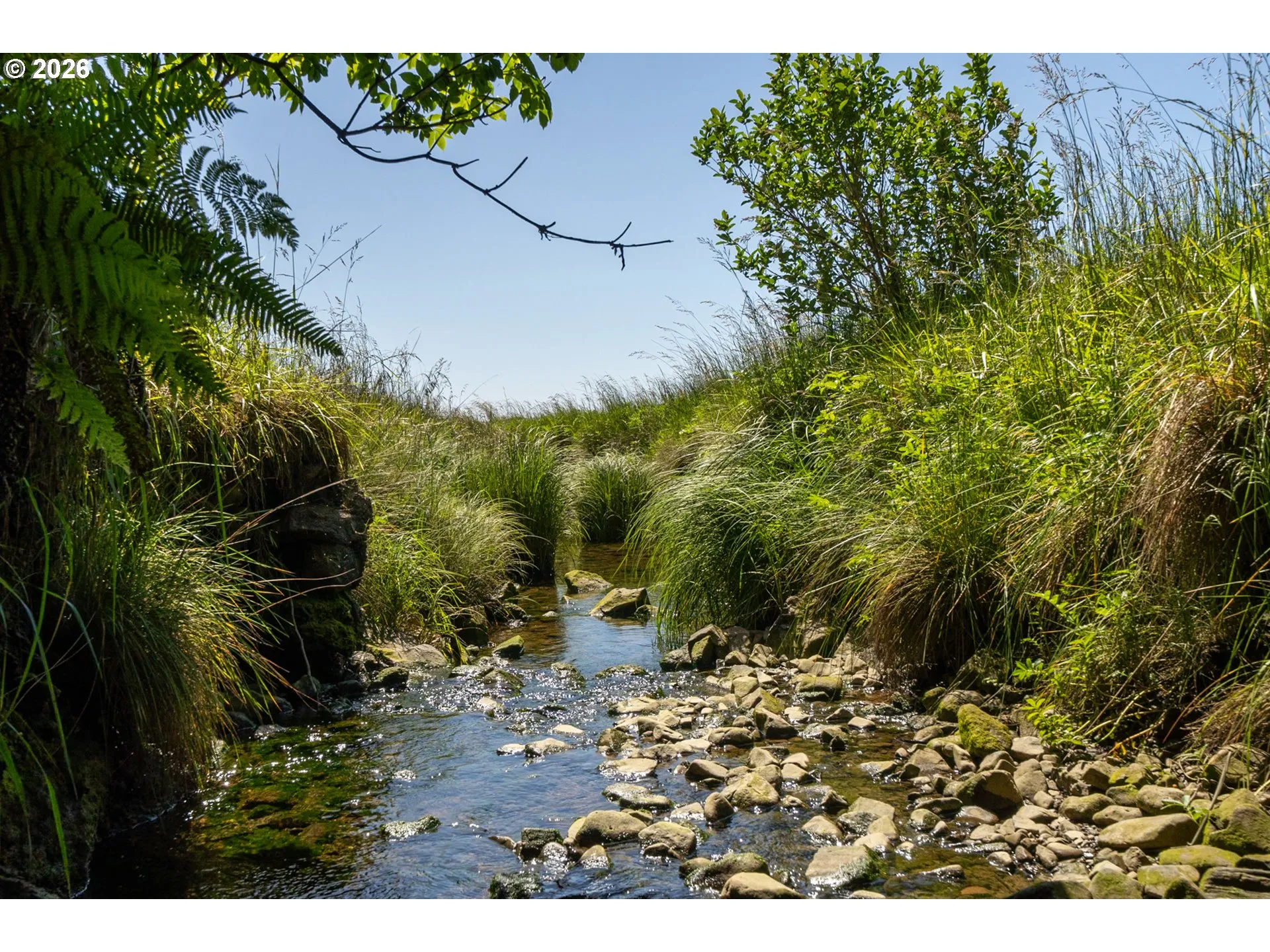 Creek-Year Round
