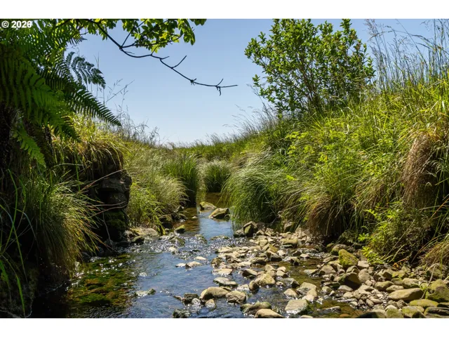 Creek-Year Round