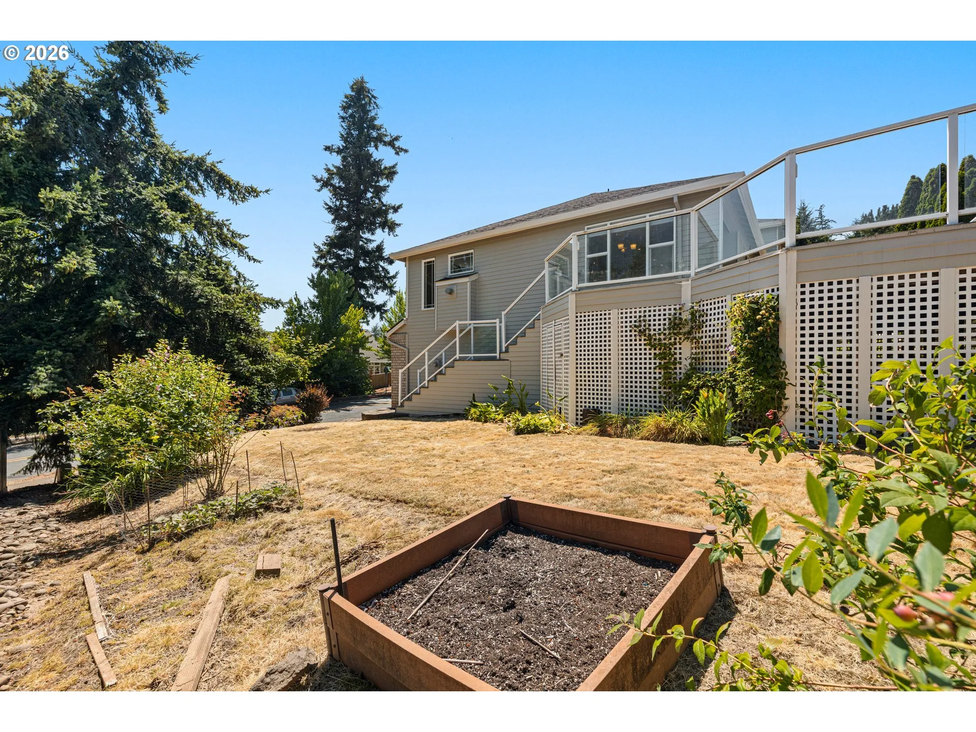 Backyard