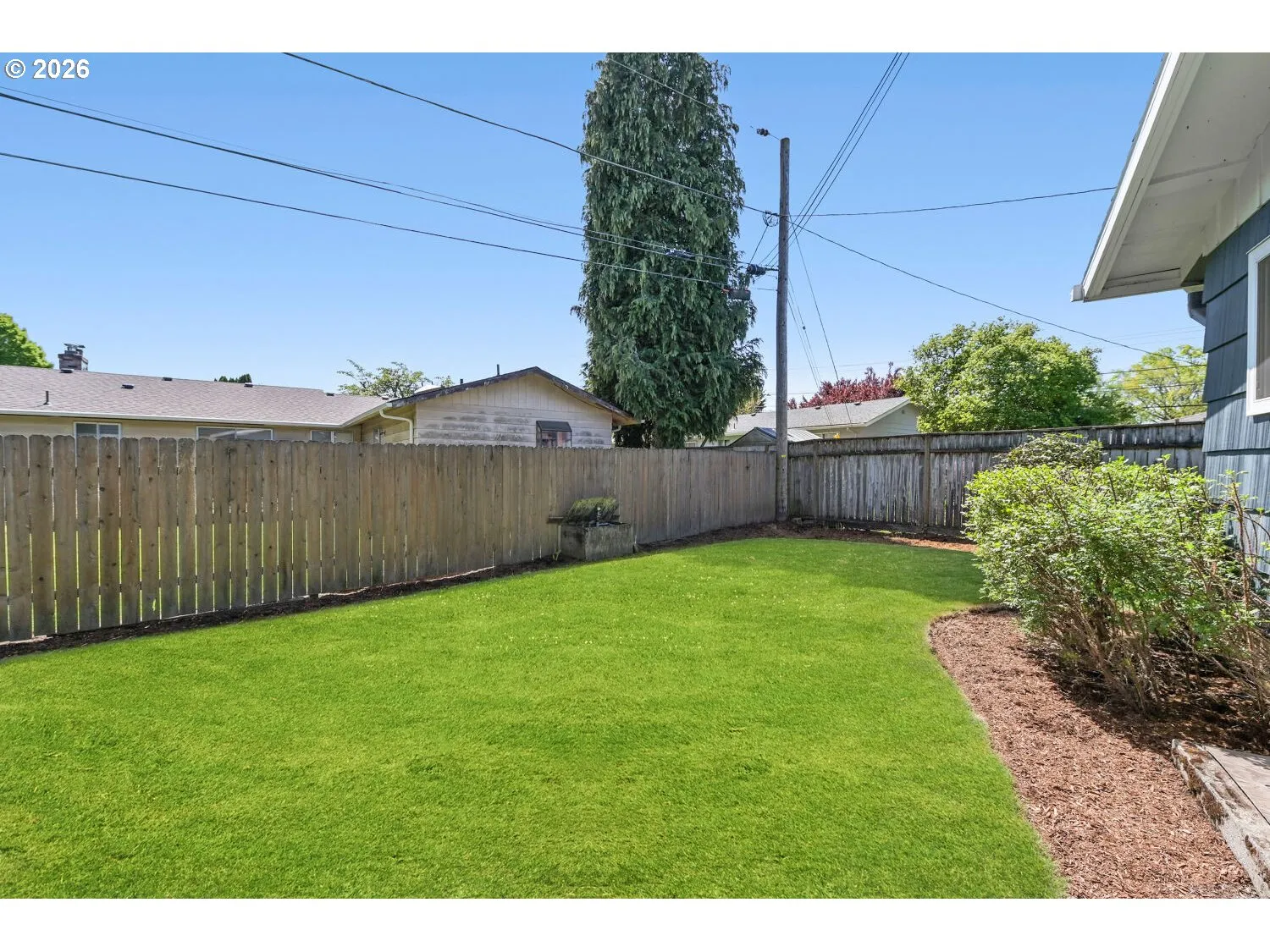 Backyard-Fenced
