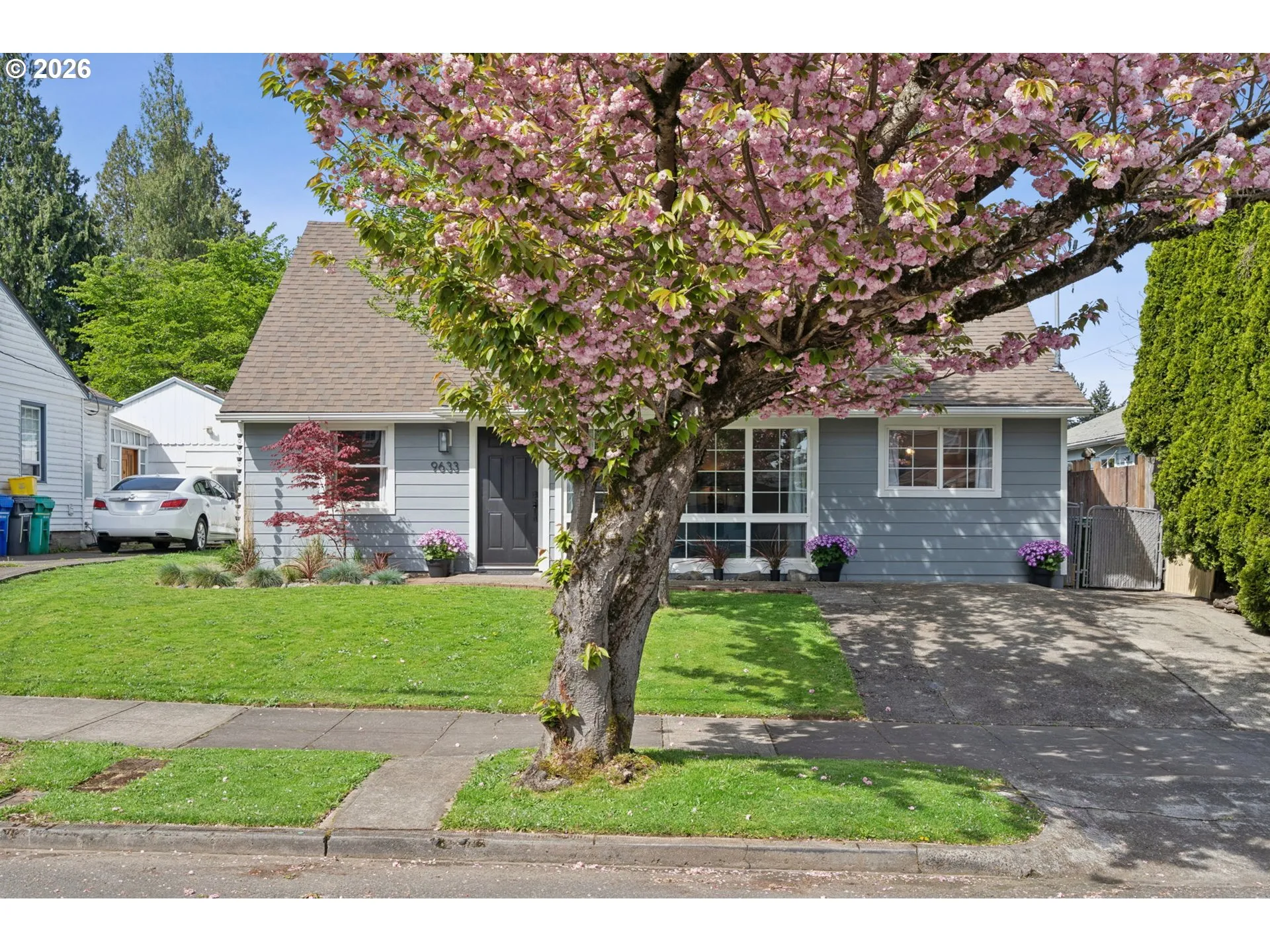Front Yard