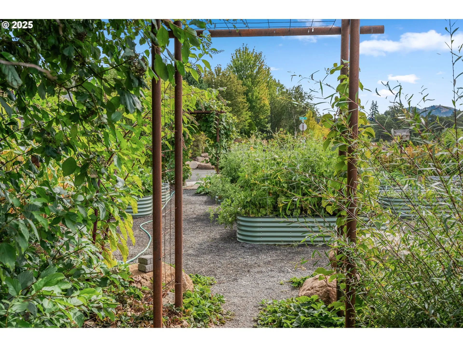 Community Garden