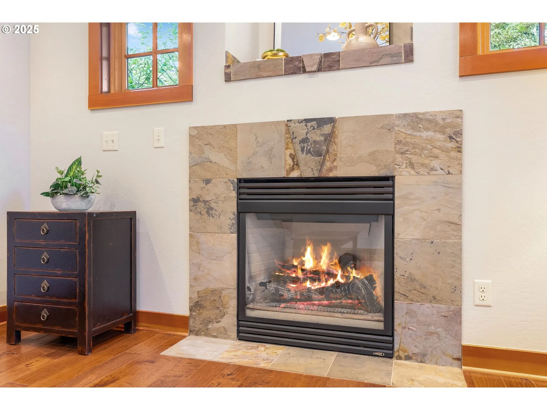Fireplace Gas