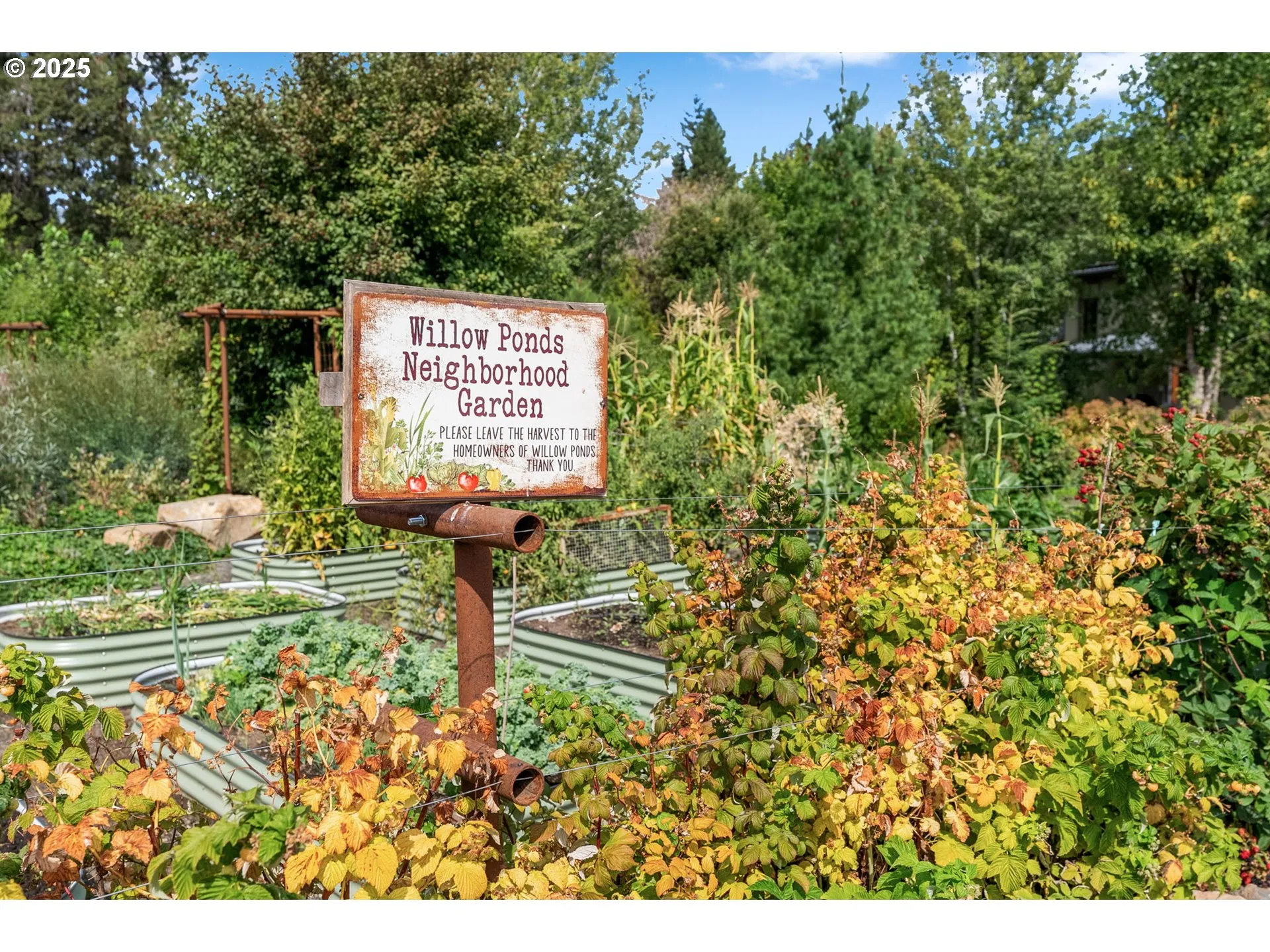 Community Garden