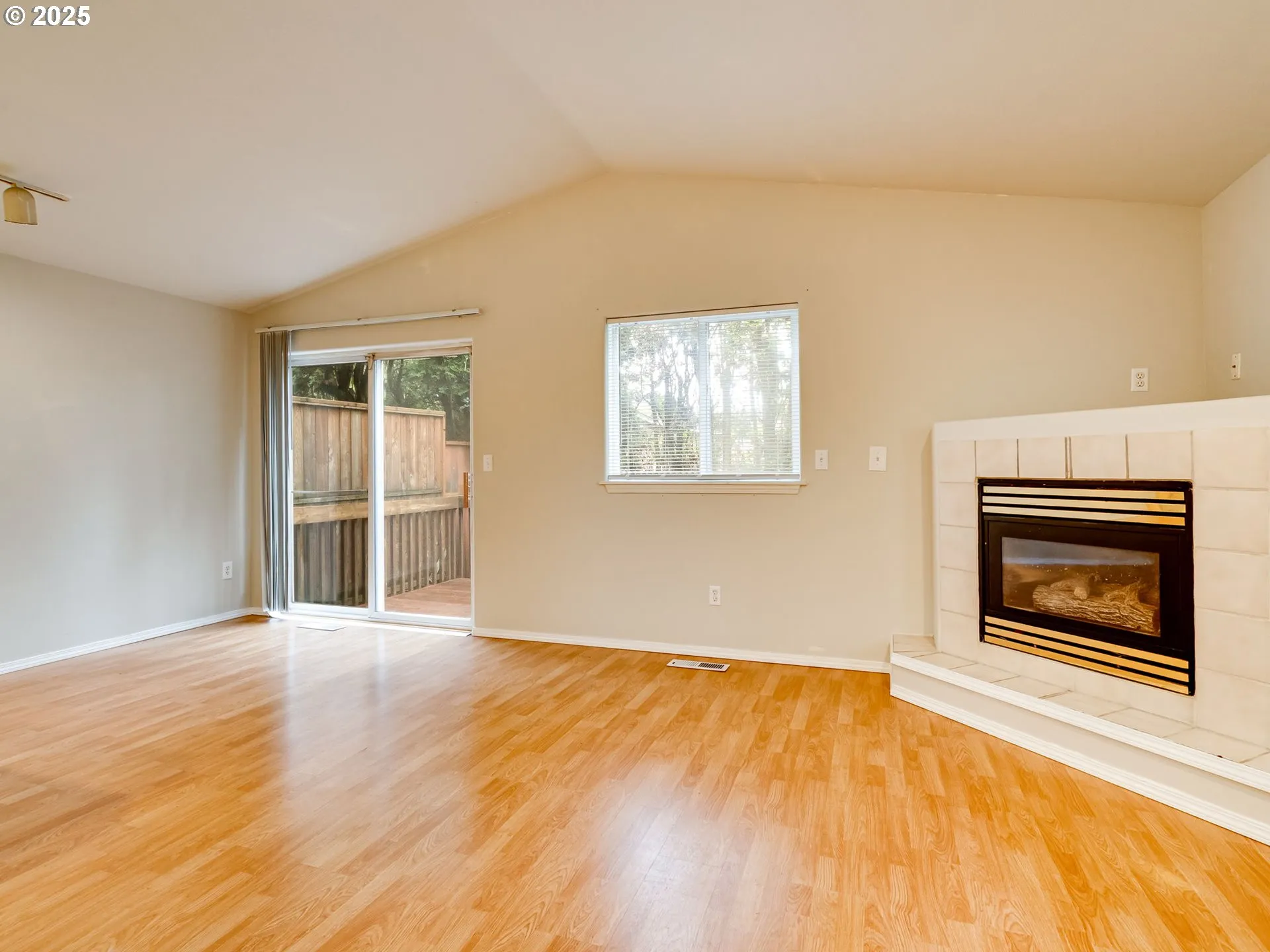 Living Room-Fireplace