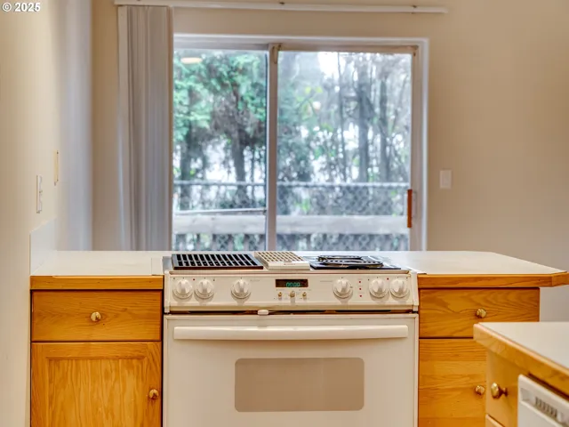 Kitchen-View From