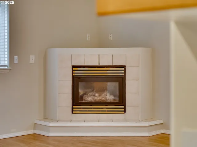 Fireplace Gas