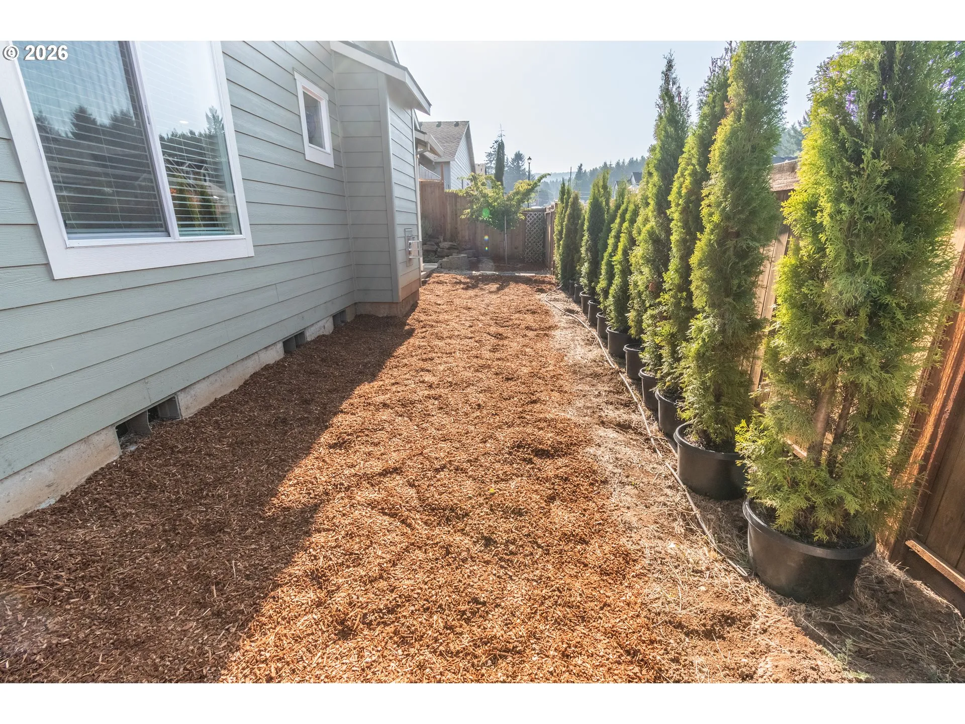 Backyard-Fenced
