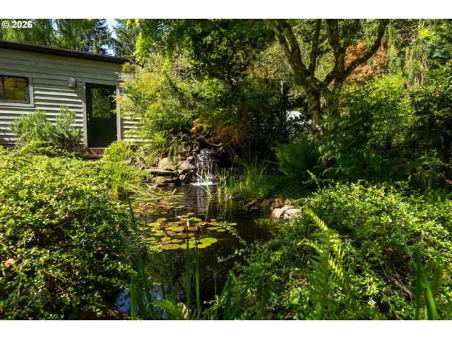 Water Feature