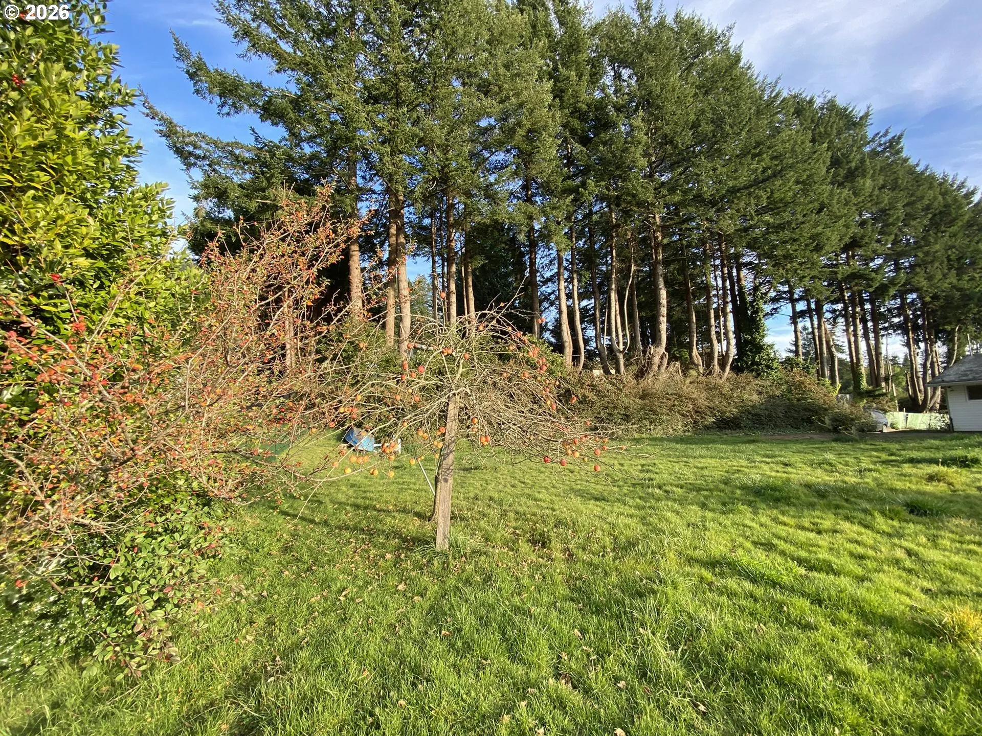 Yard-Back