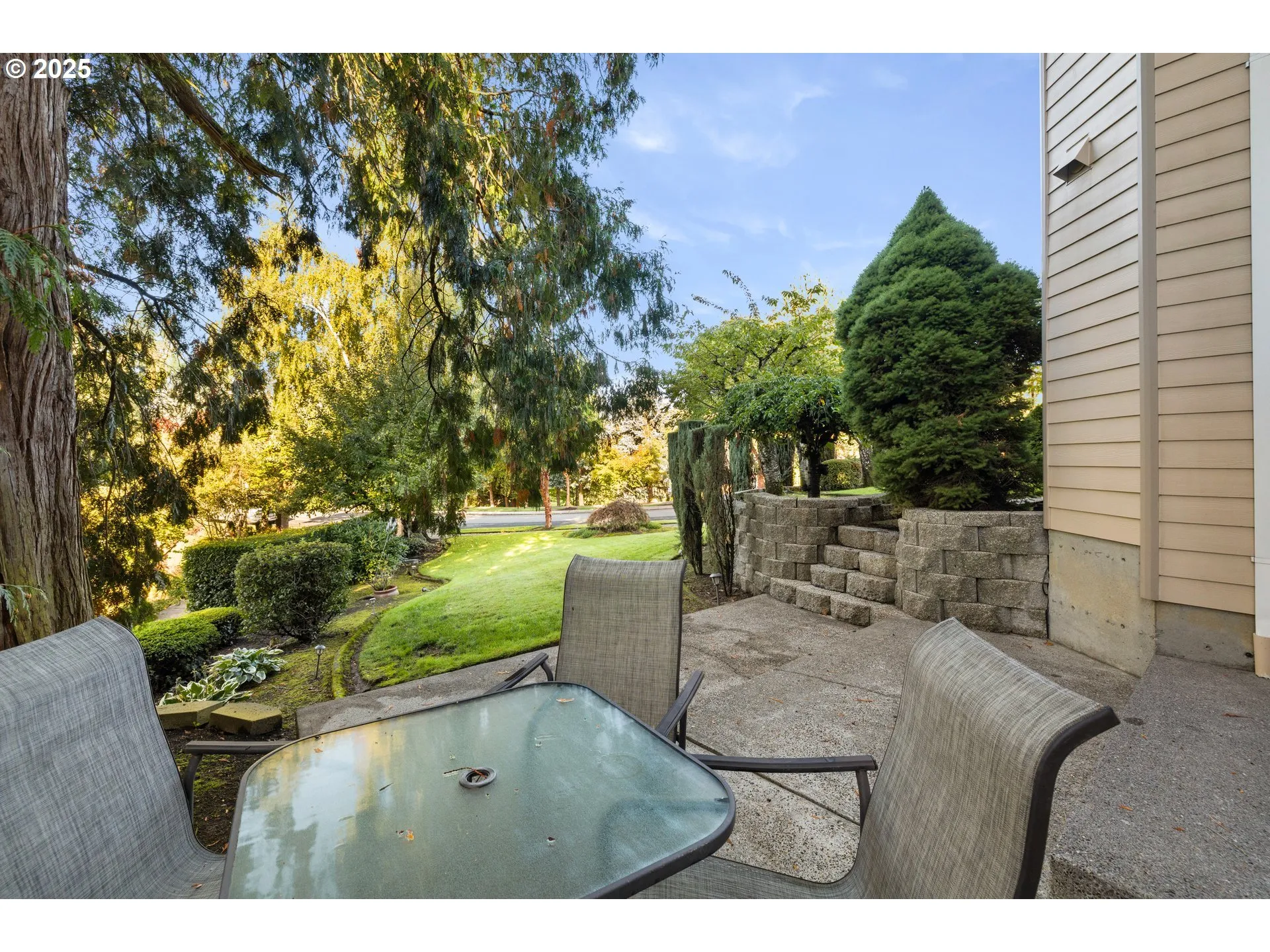 Patio-Backyard