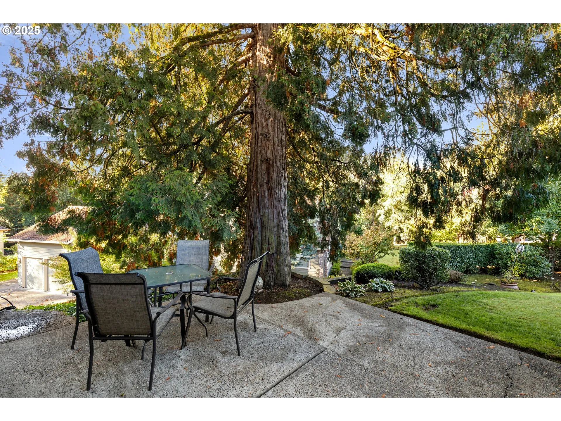 Patio-Backyard