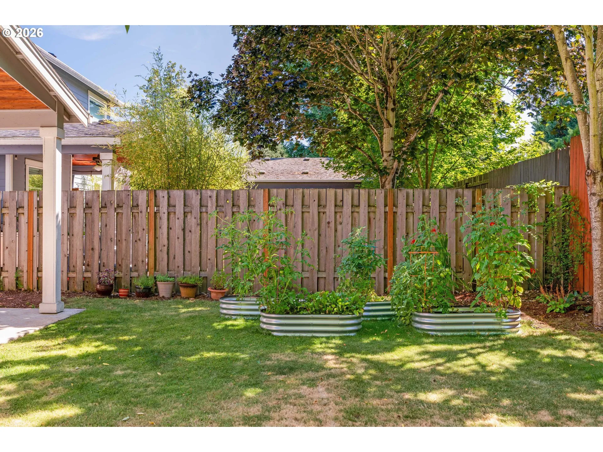 Backyard