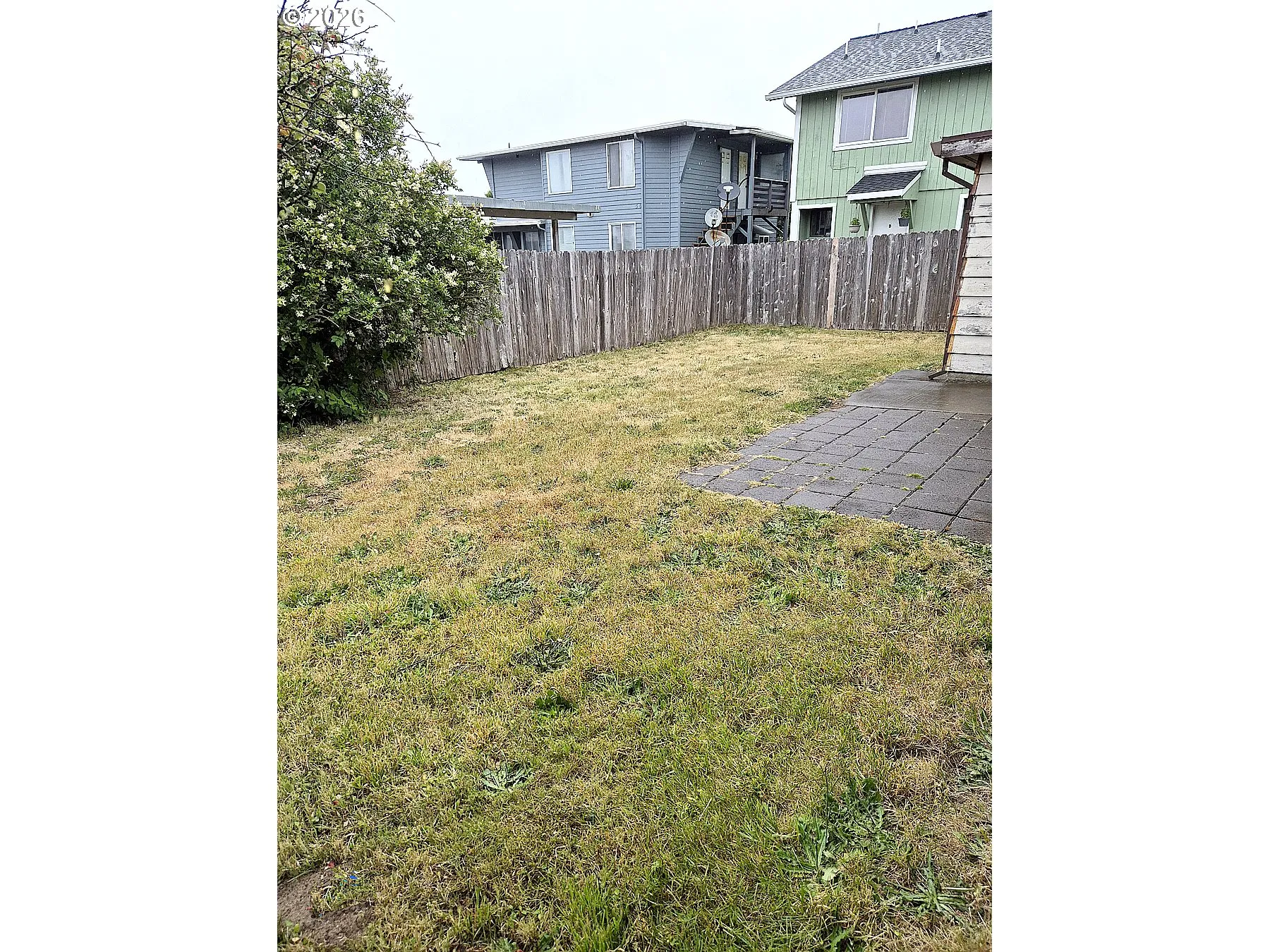 Backyard-Fenced
