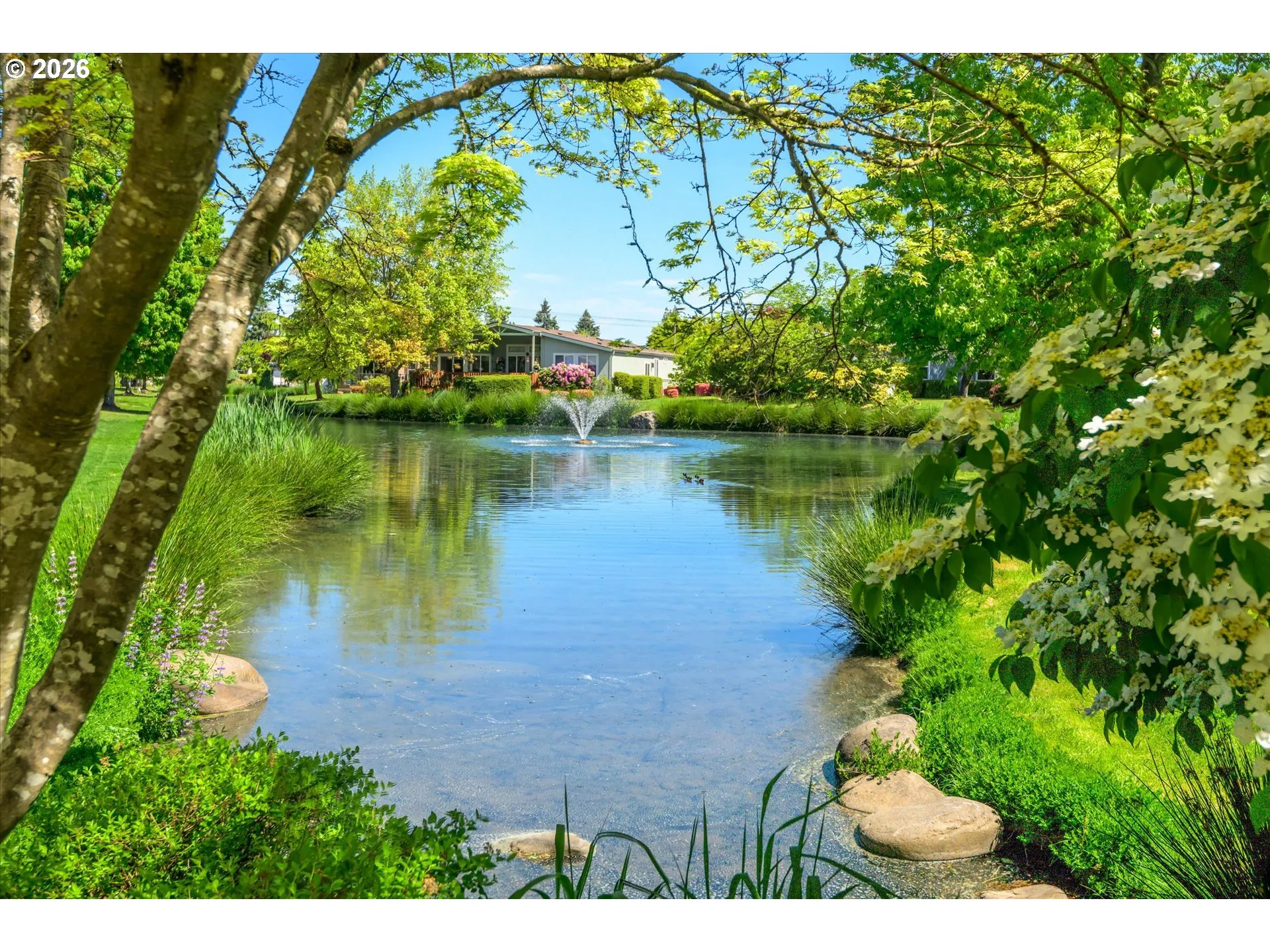 Pond