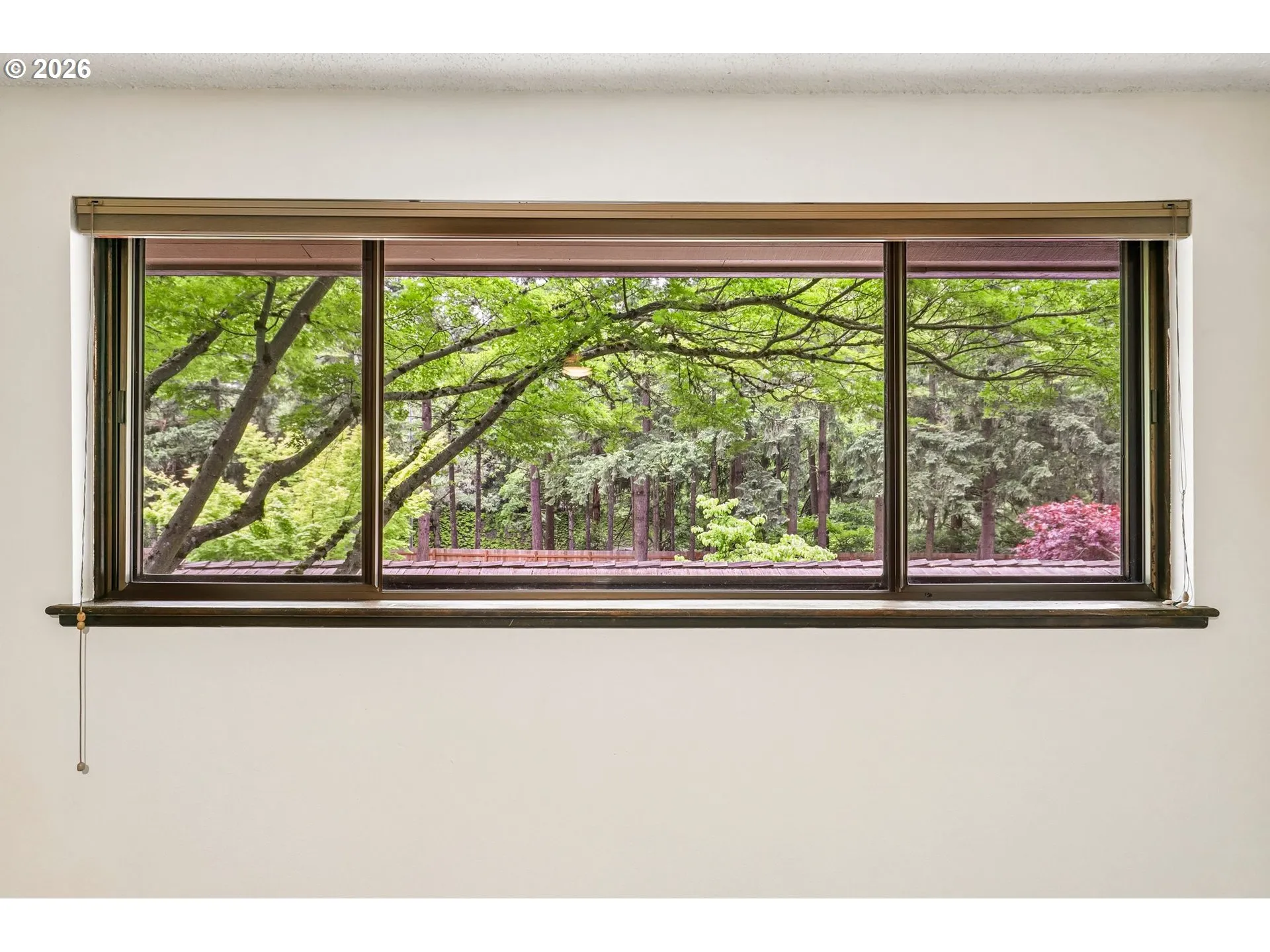 Primary Bedroom-View From