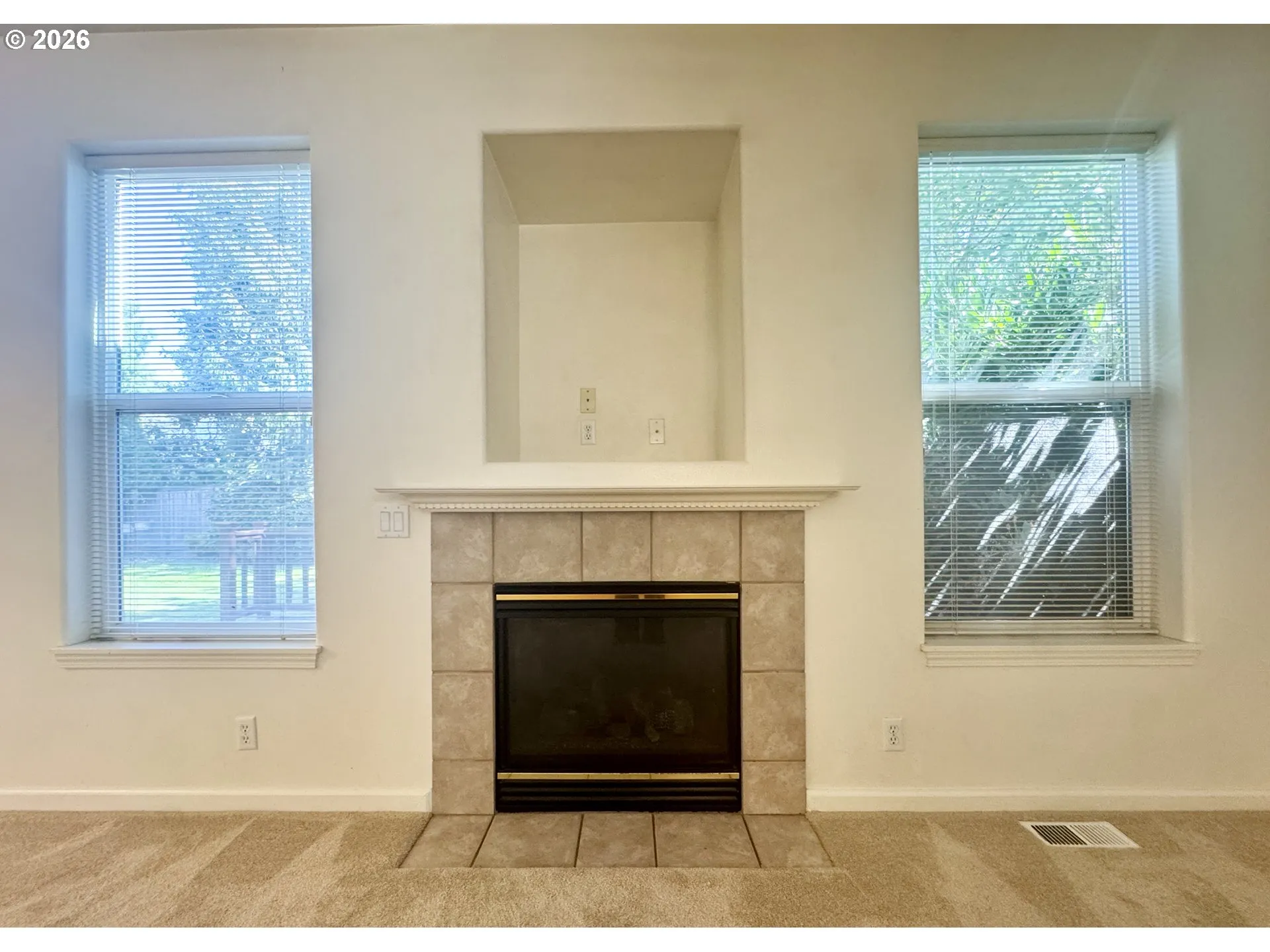 Fireplace Gas