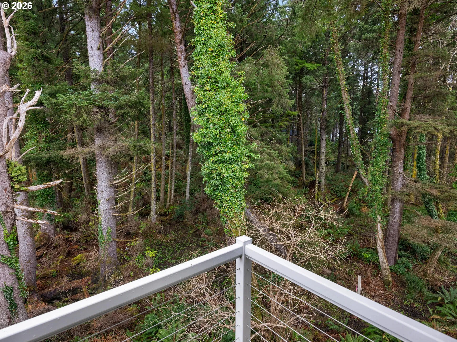 View-Trees