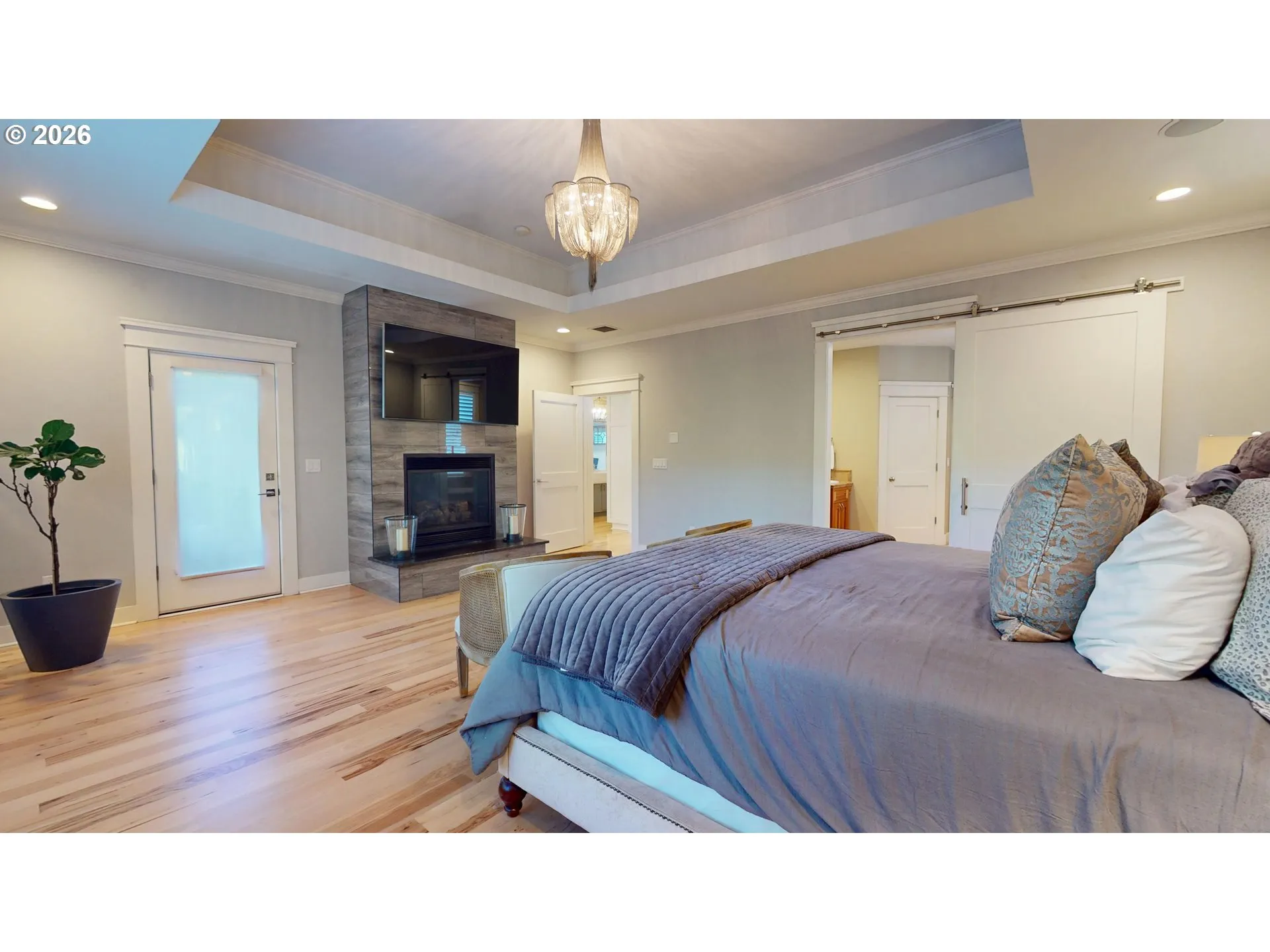 Primary Bedroom-Fireplace