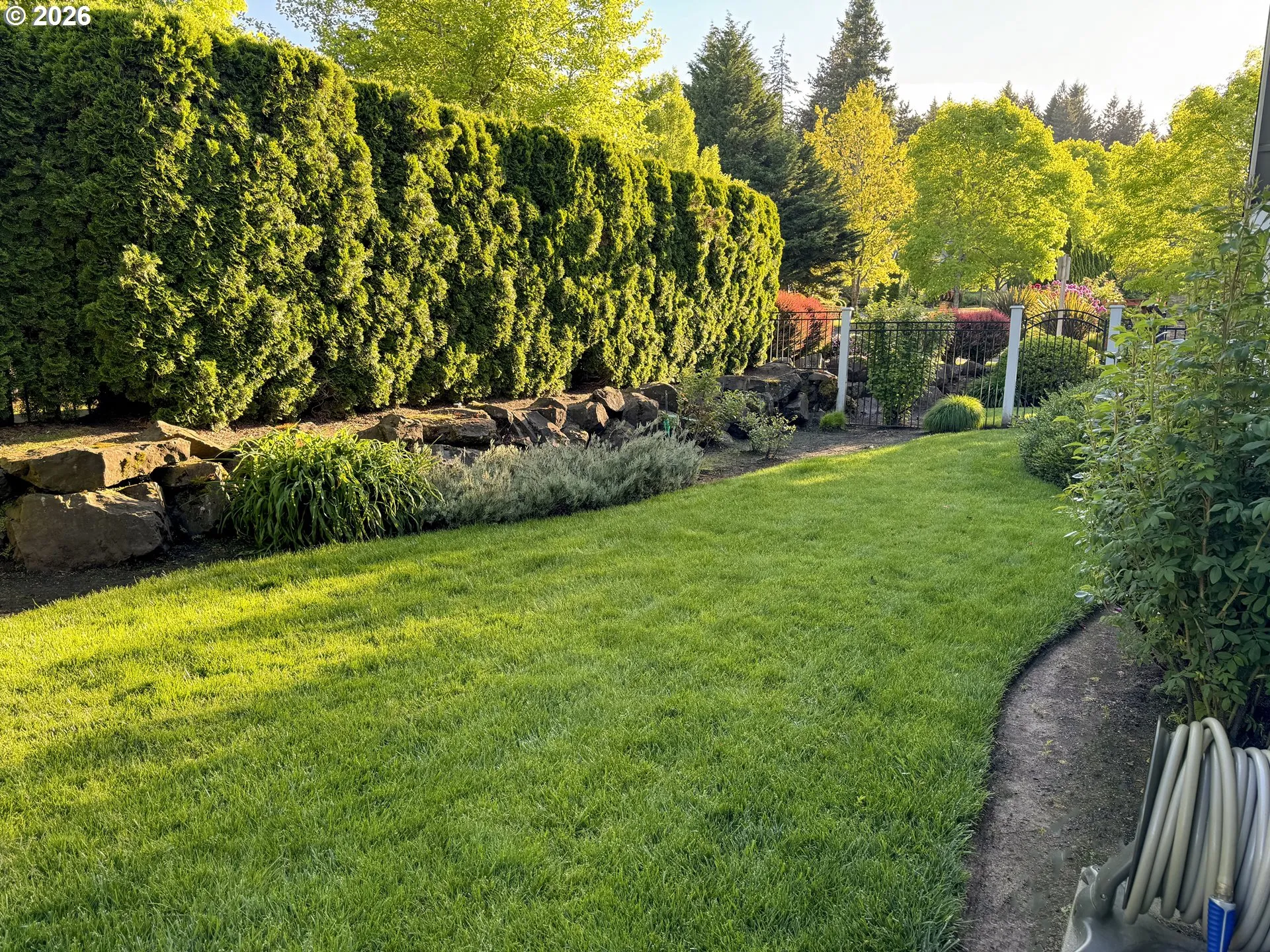 Backyard-# 3