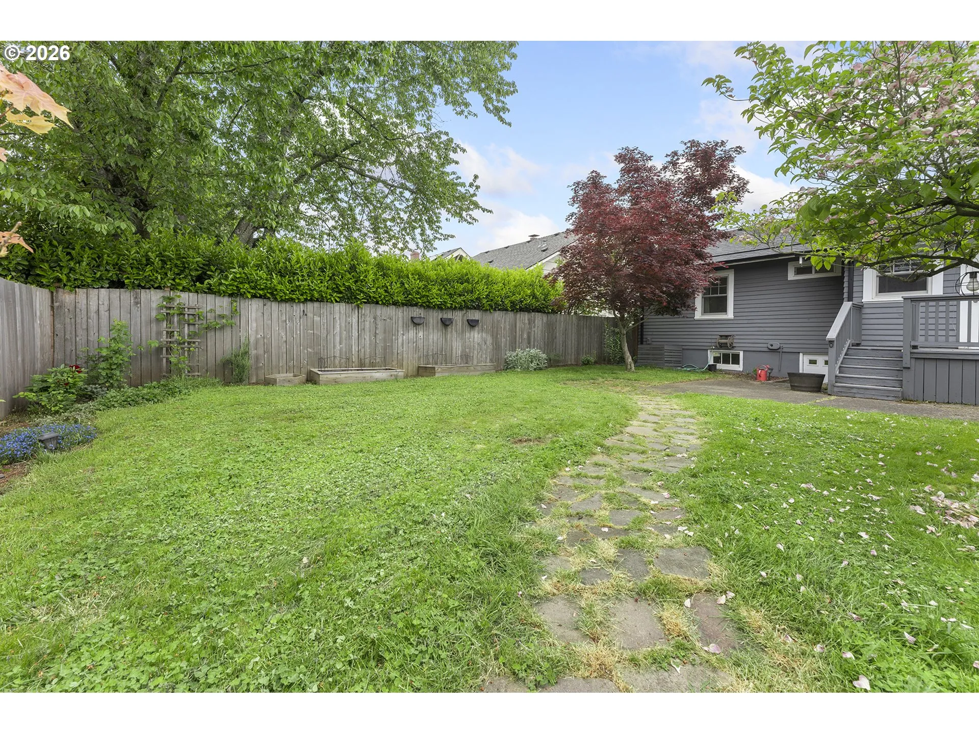 Backyard-View From