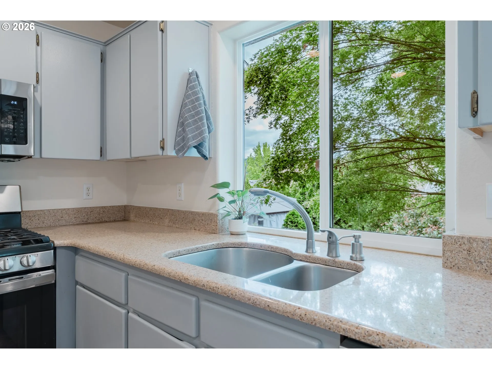 Kitchen-View From