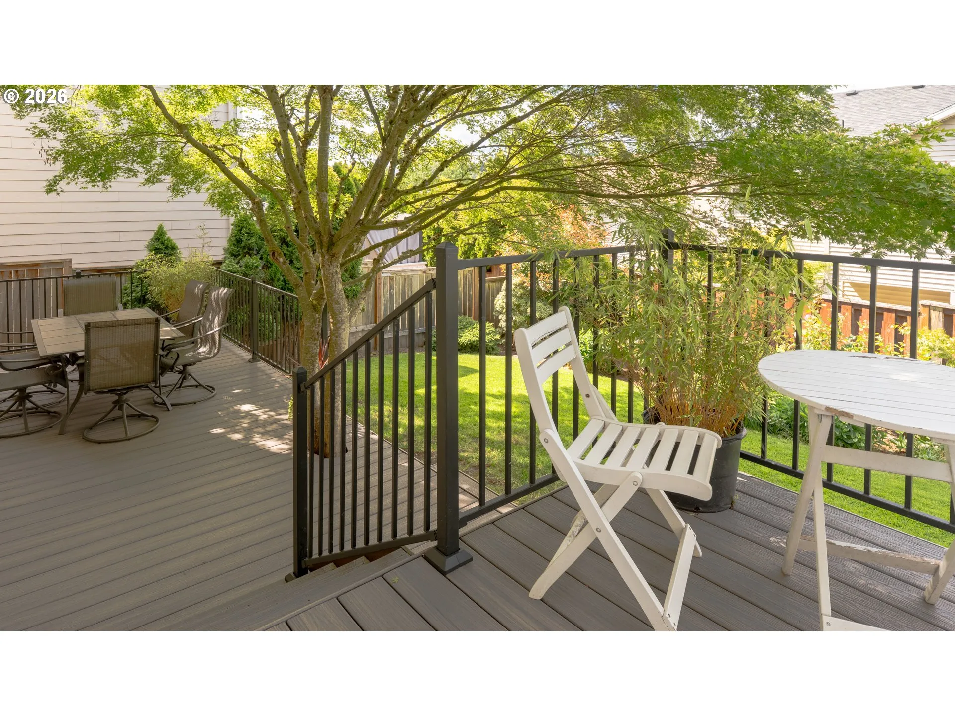 Backyard-# 3