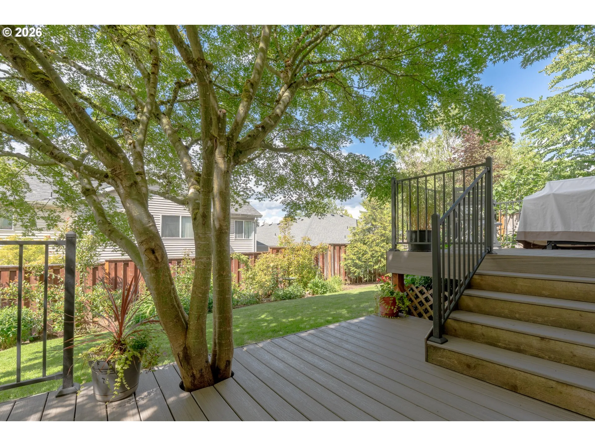 Backyard-# 2