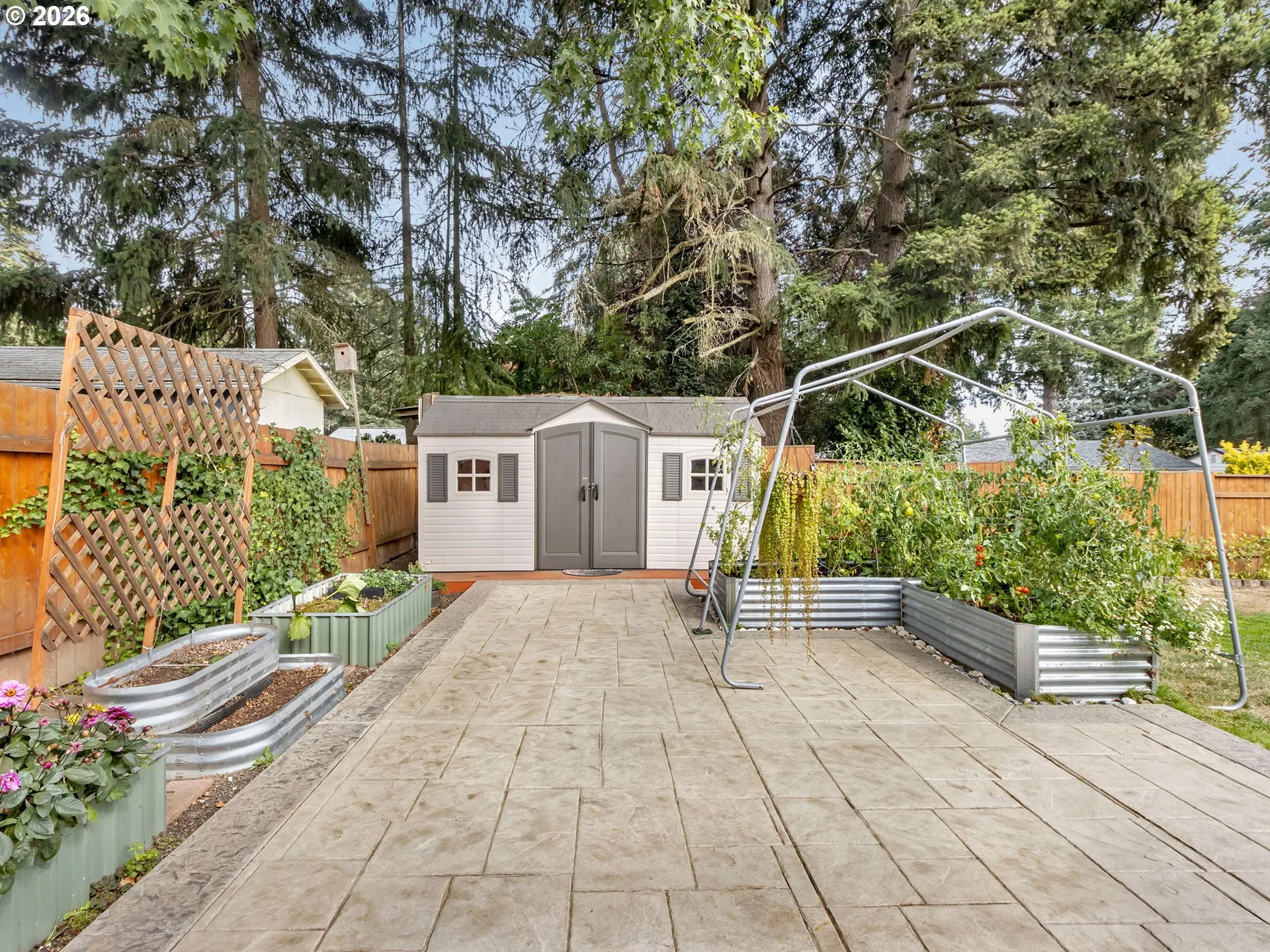 Patio-Backyard