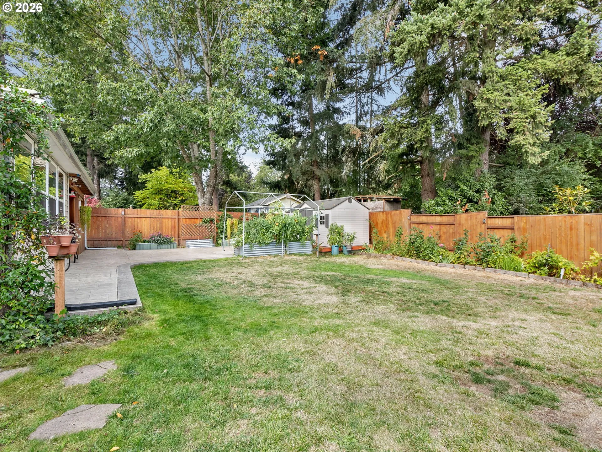 Backyard