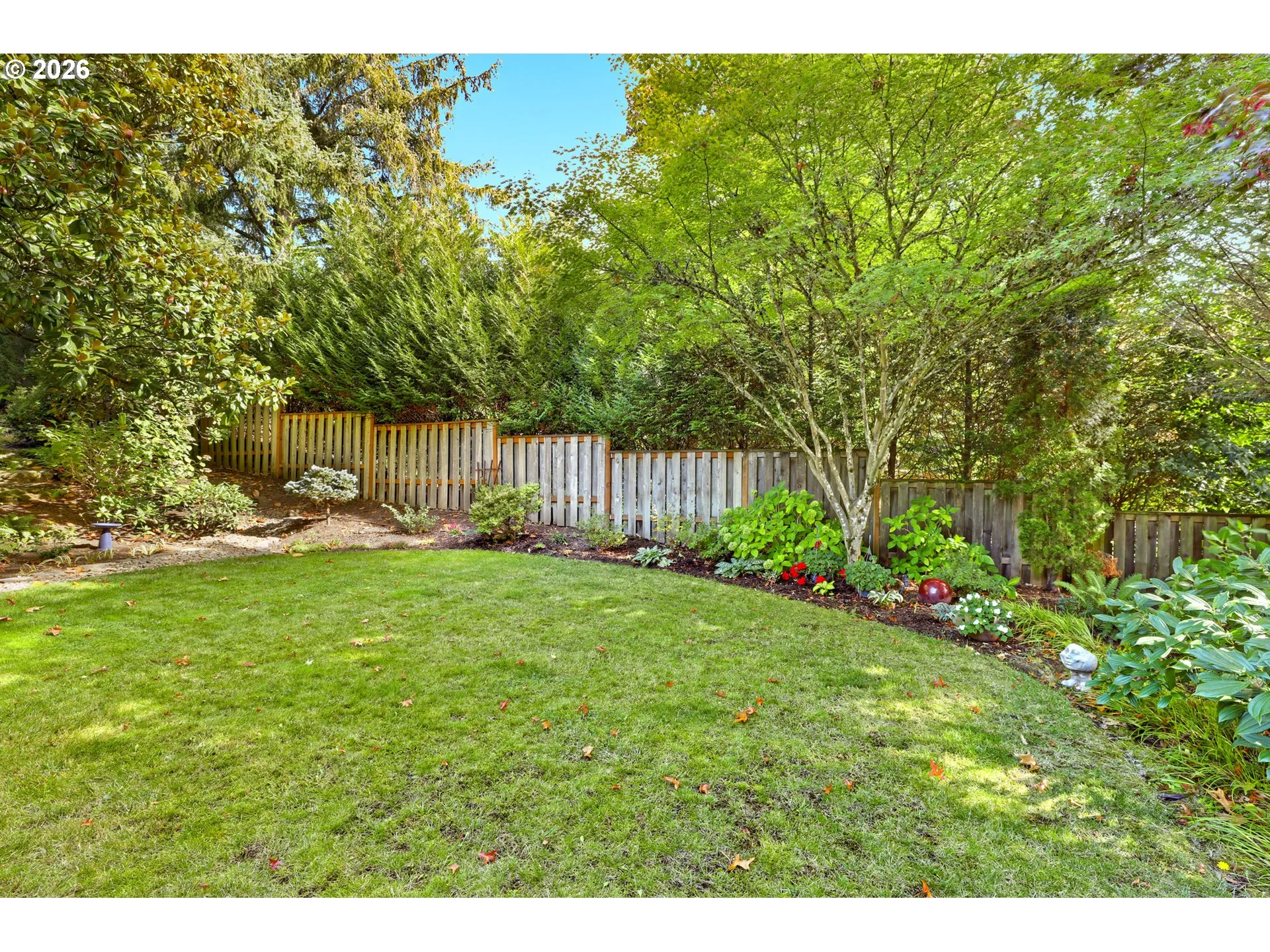 Backyard-Fenced