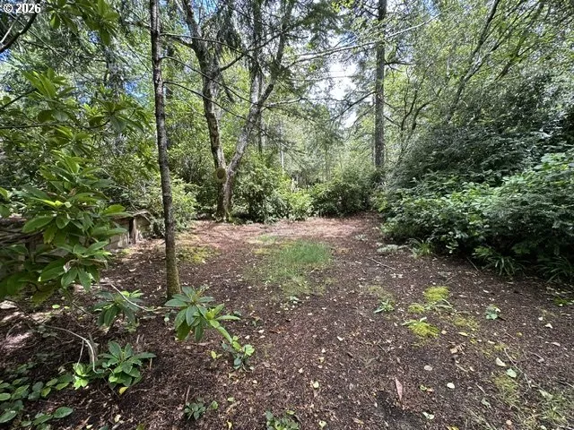 Yard-Back
