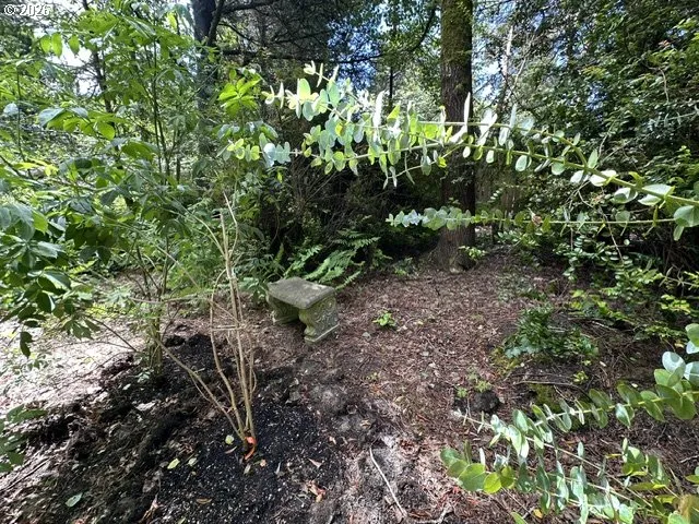 Yard-Back