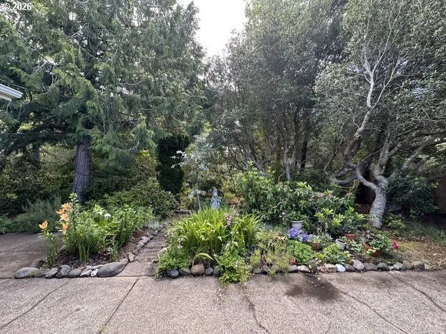 Yard-Back