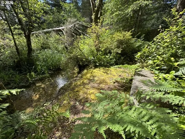 Yard-Back