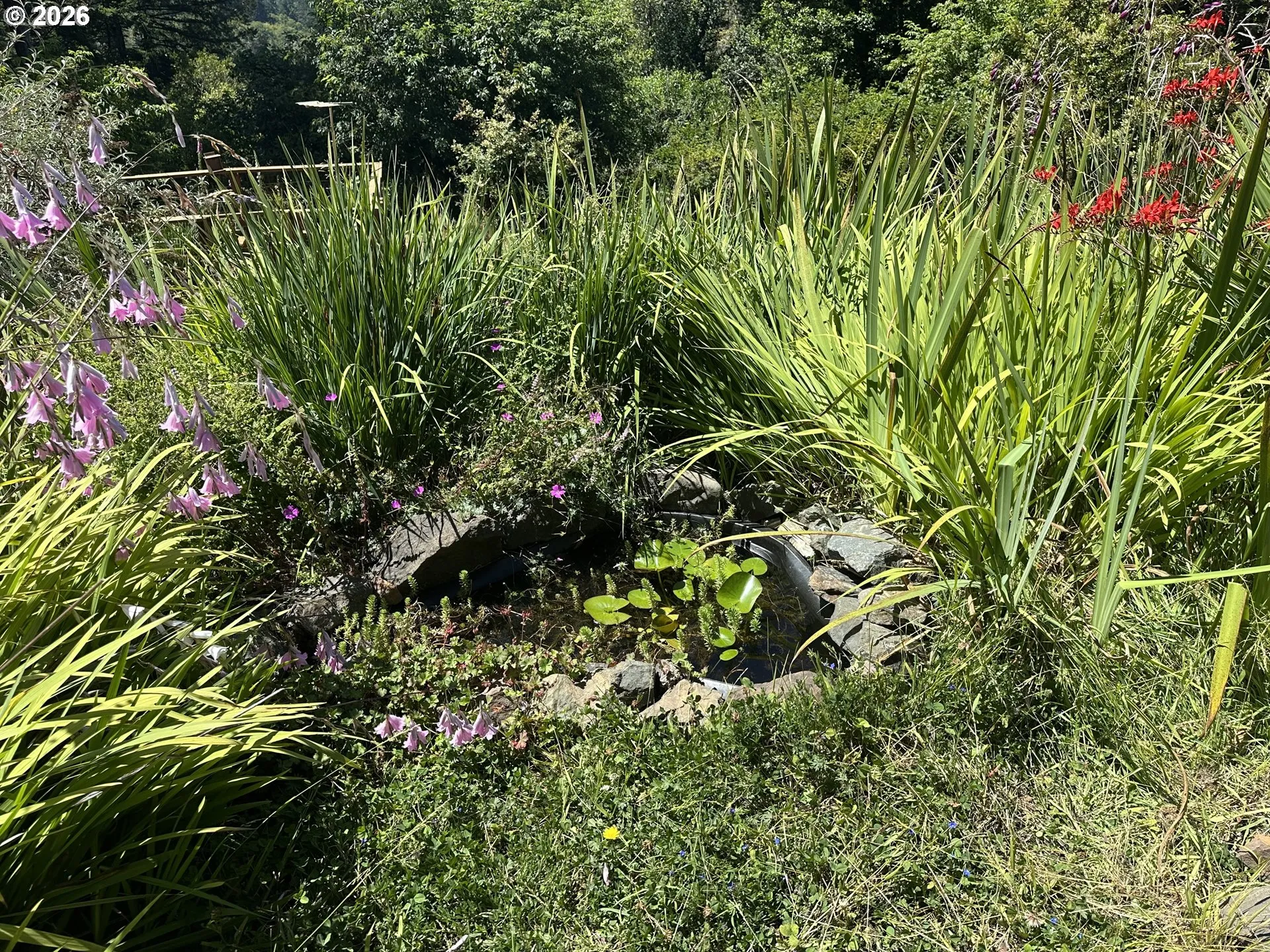 Pond-# 2