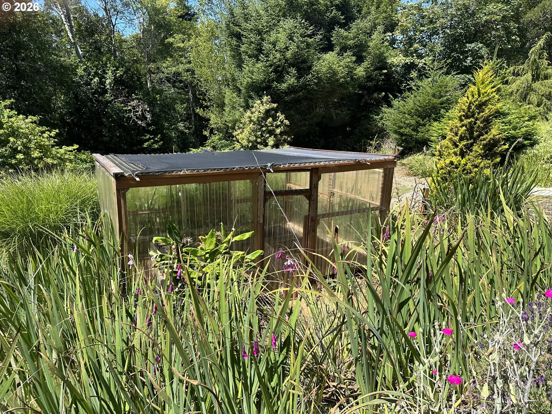 Greenhouse