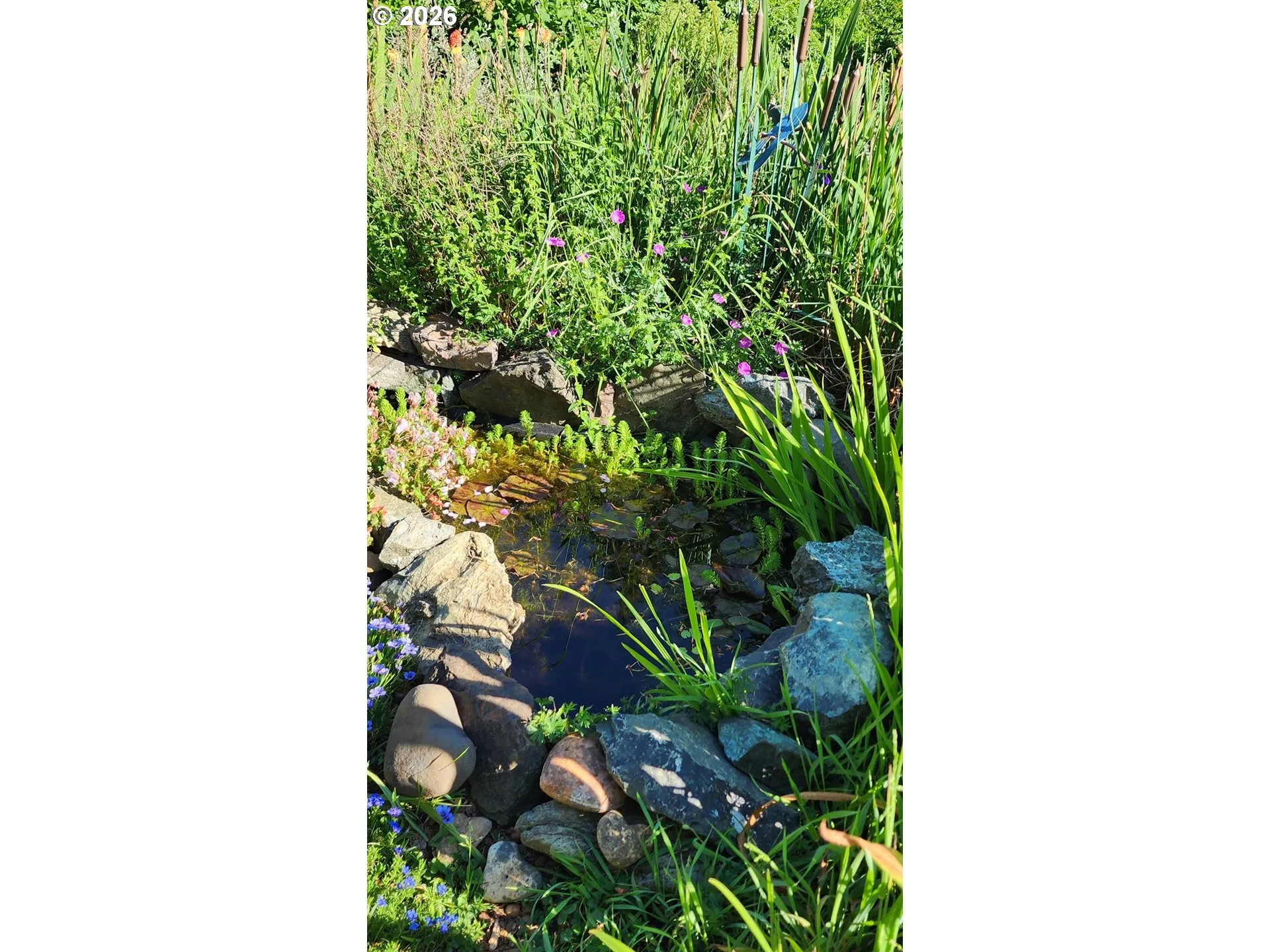 Pond-# 1